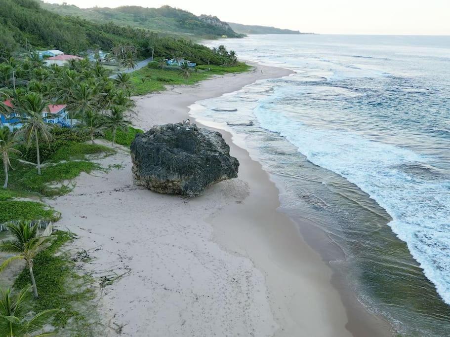 Holiday home Little Diamond, Wooden Jungle House. Bathsheba. Saint Joseph