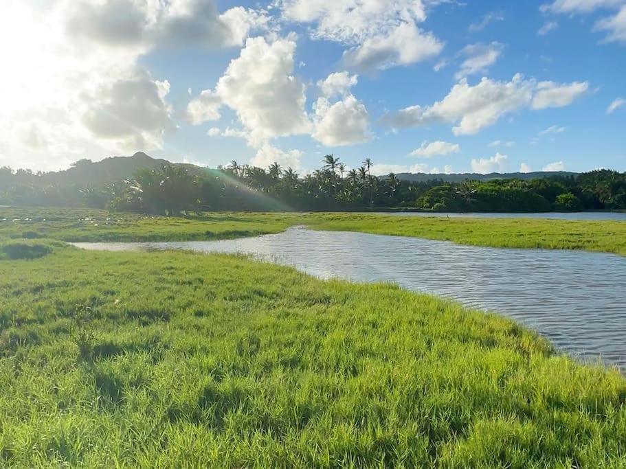 Little Diamond, Wooden Jungle House. Bathsheba. Holiday home