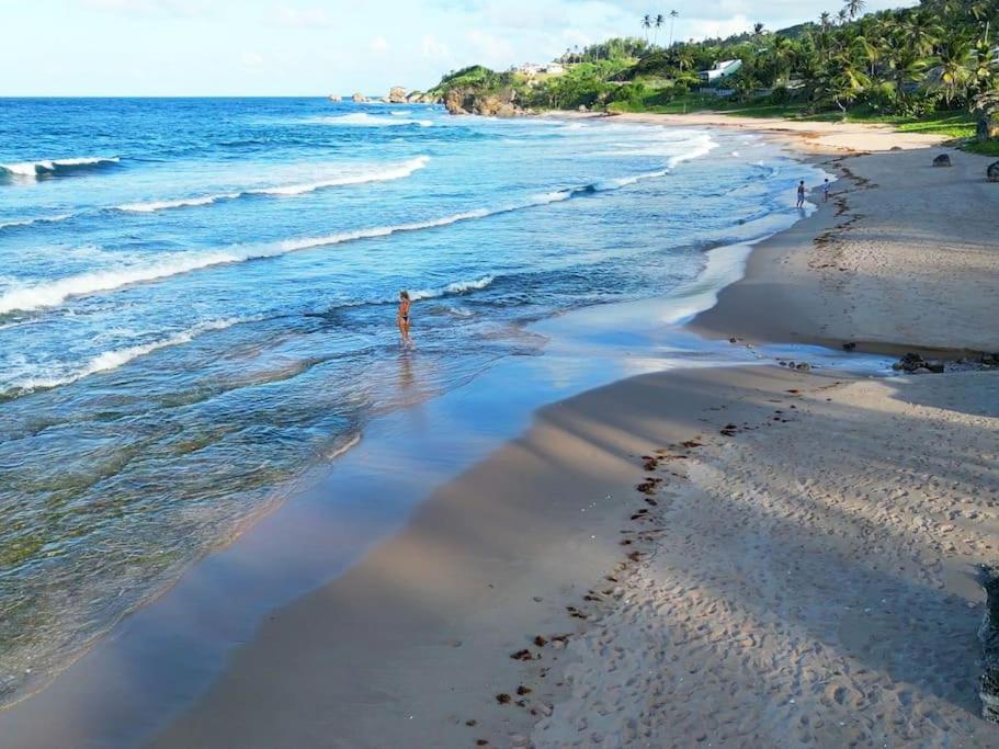 Little Diamond, Wooden Jungle House. Bathsheba. Holiday home Saint Joseph