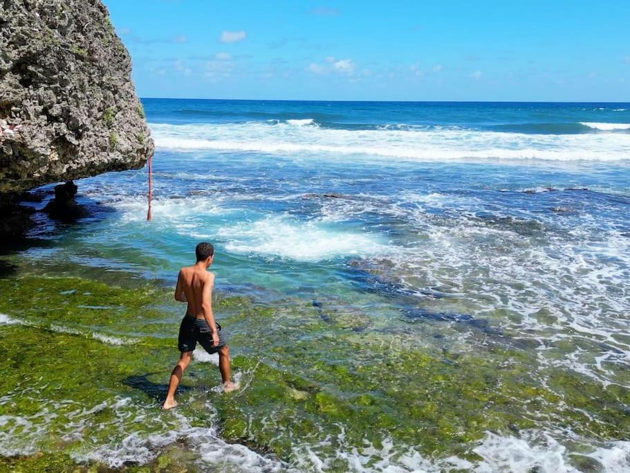 Little Diamond, Wooden Jungle House. Bathsheba. Holiday home *