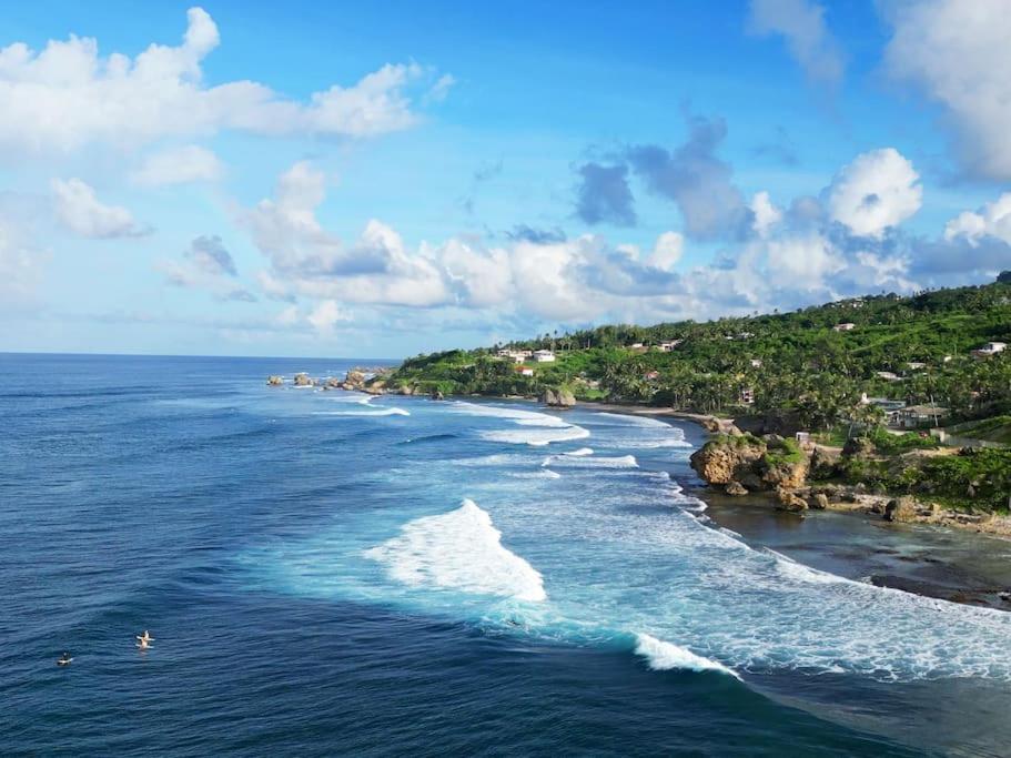 Holiday home Little Diamond, Wooden Jungle House. Bathsheba. *