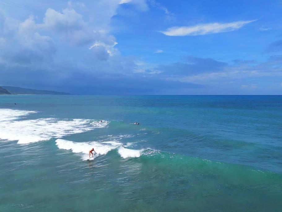 Little Diamond, Wooden Jungle House. Bathsheba. Holiday home Saint Joseph