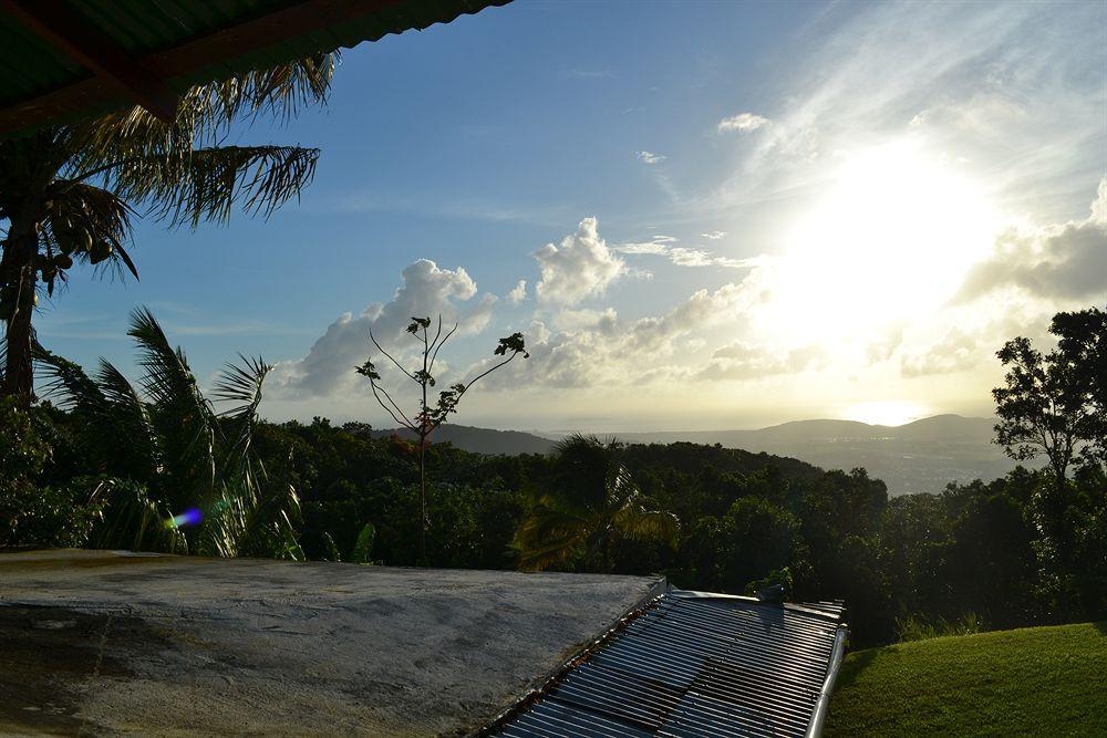 Hotel El Hotelito At The Rainforest Experience Farm Fajardo