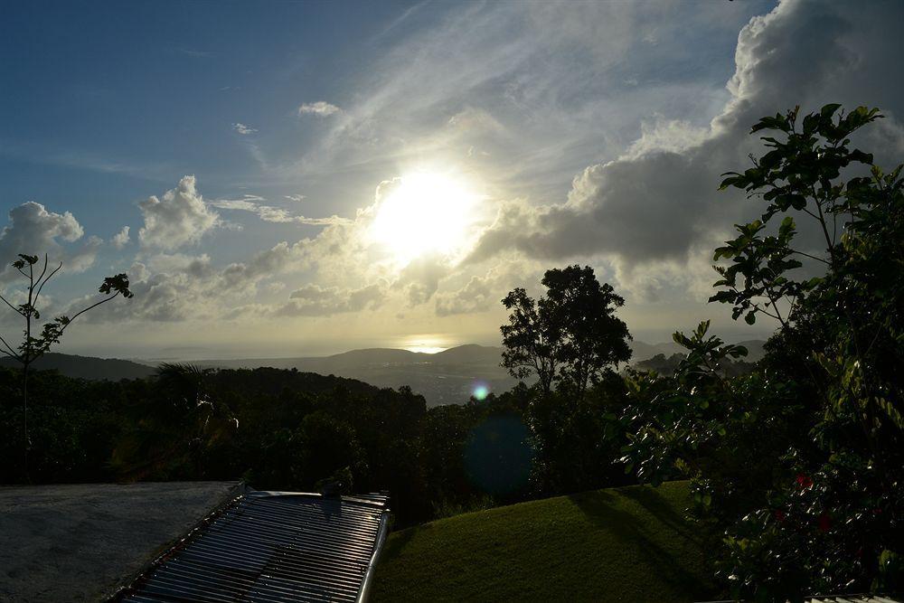 El Hotelito At The Rainforest Experience Farm 4*