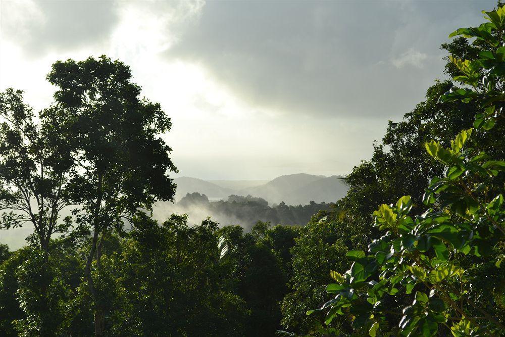 Hotel El Hotelito At The Rainforest Experience Farm