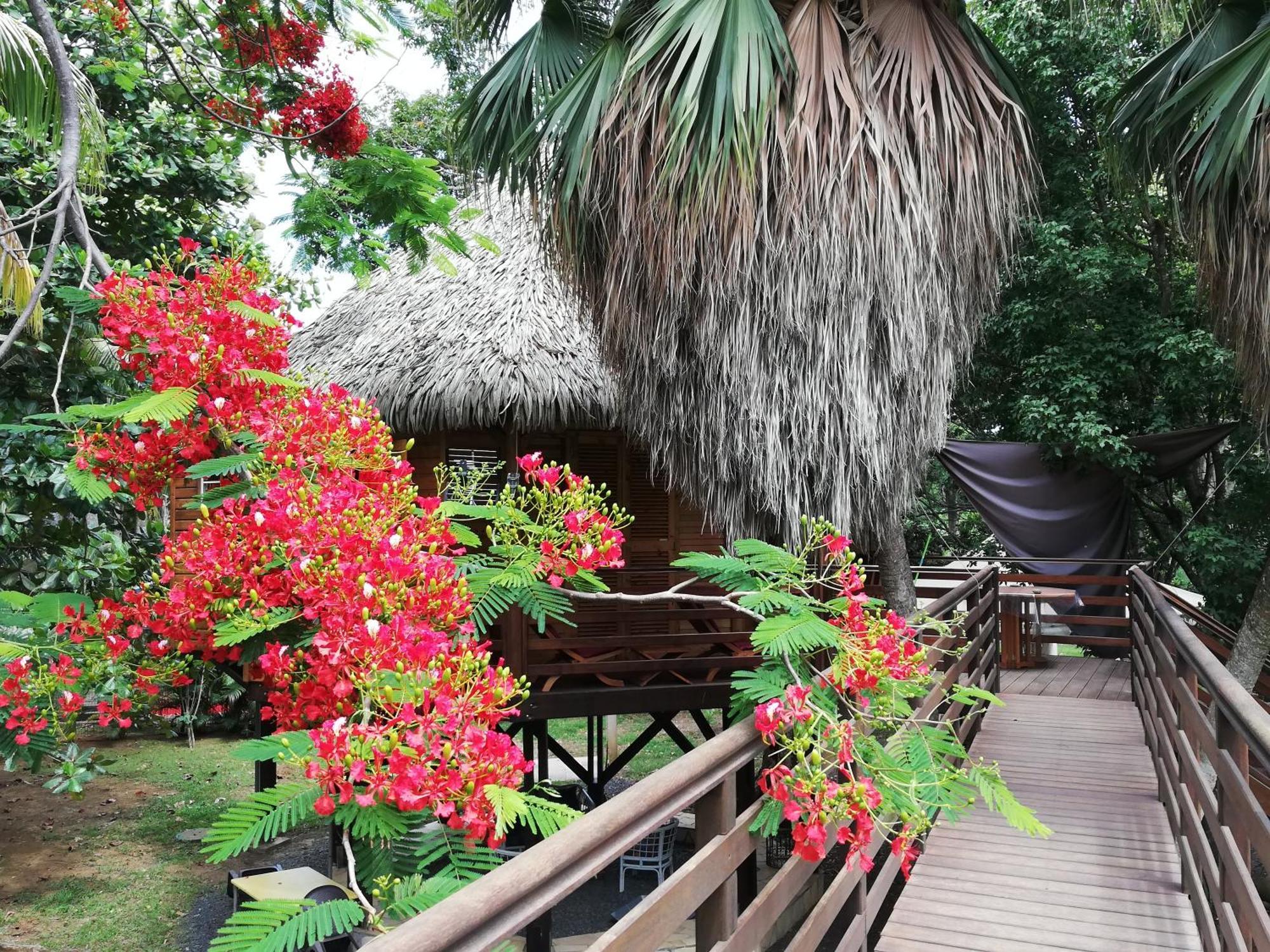 Holiday home Du Manial 
