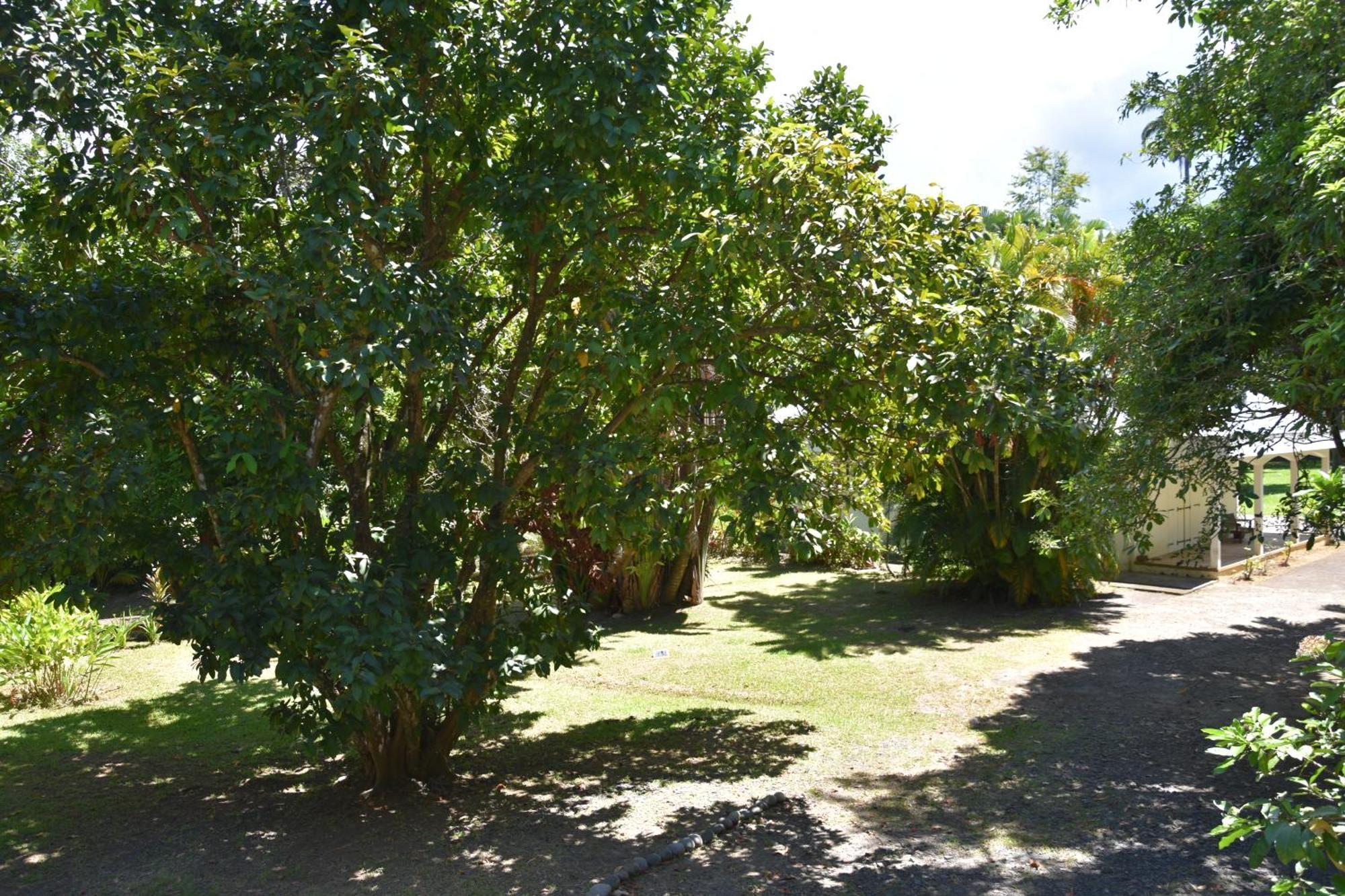 Holiday home Du Manial 
