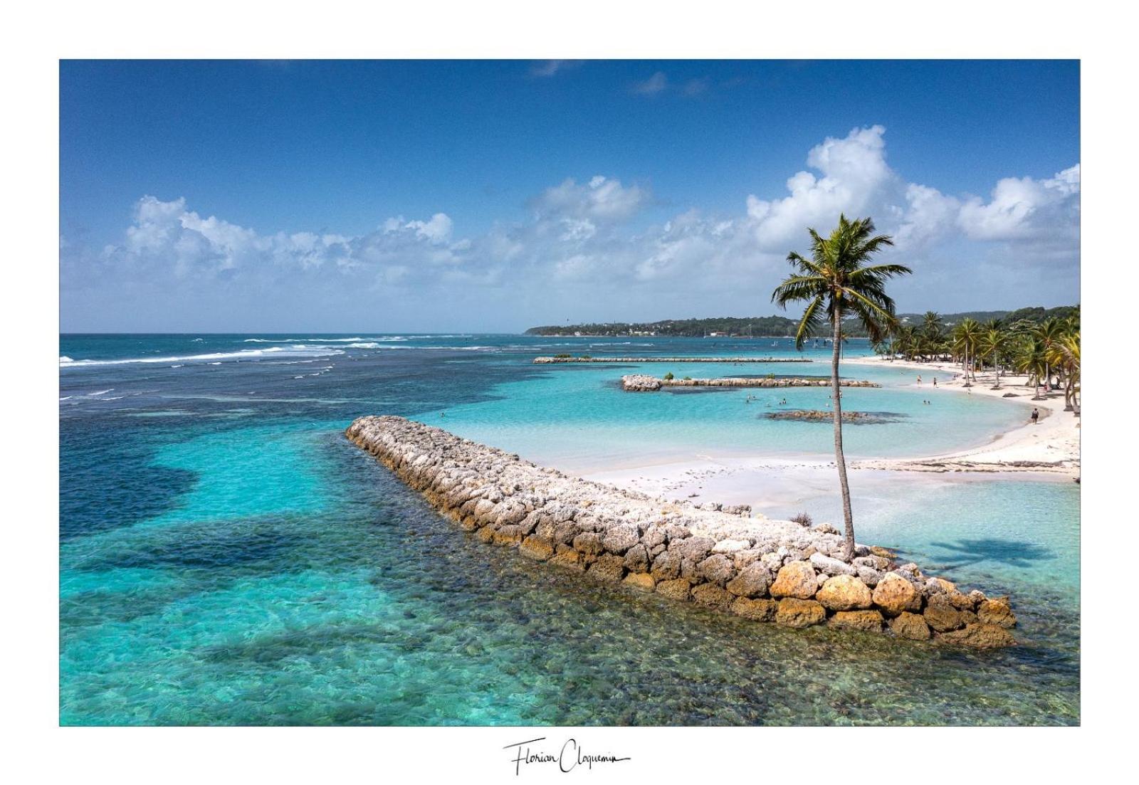 Cosy, Les Pieds Dans L'eau ! * Sainte-Anne (Grande-Terre)