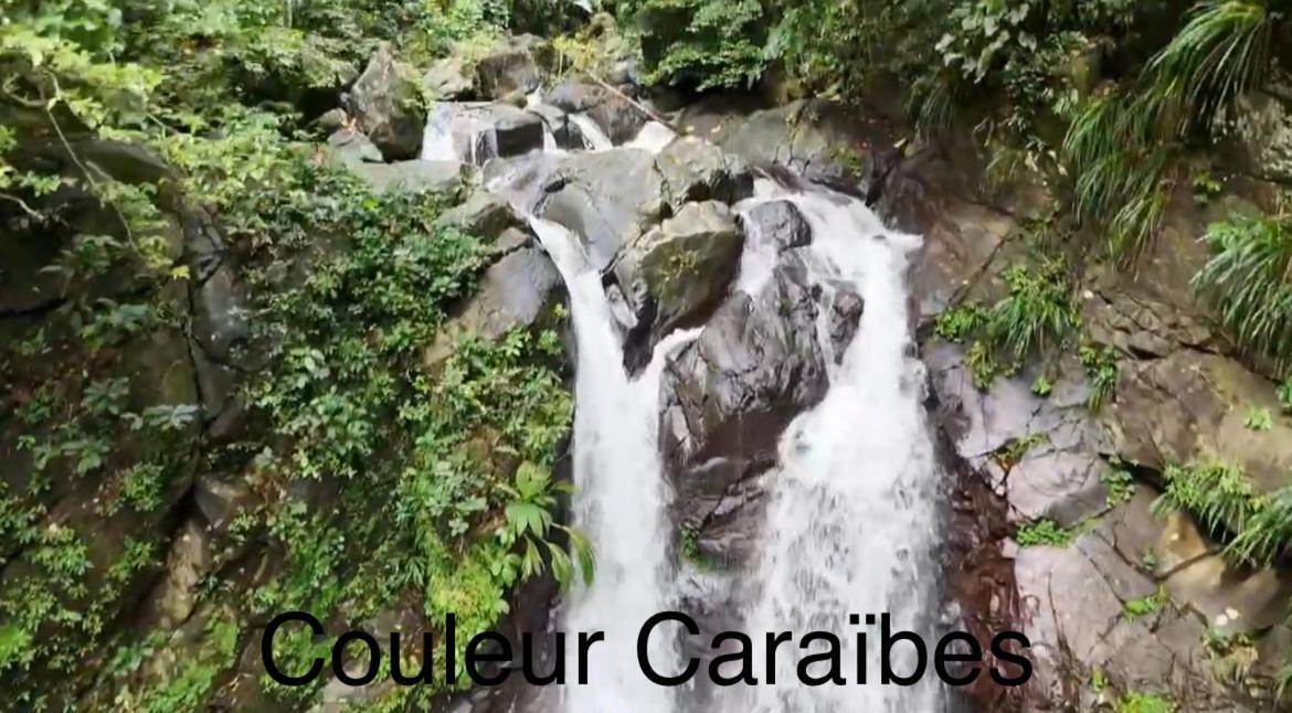 Couleur Caraibes-cocobeach Martinique Pierre Et Apartment *