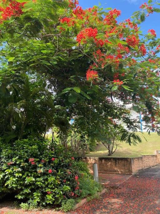 Bord De Avec Piscine - Le Manganao, Saint-francois Saint-Francois (Grande-Terre)