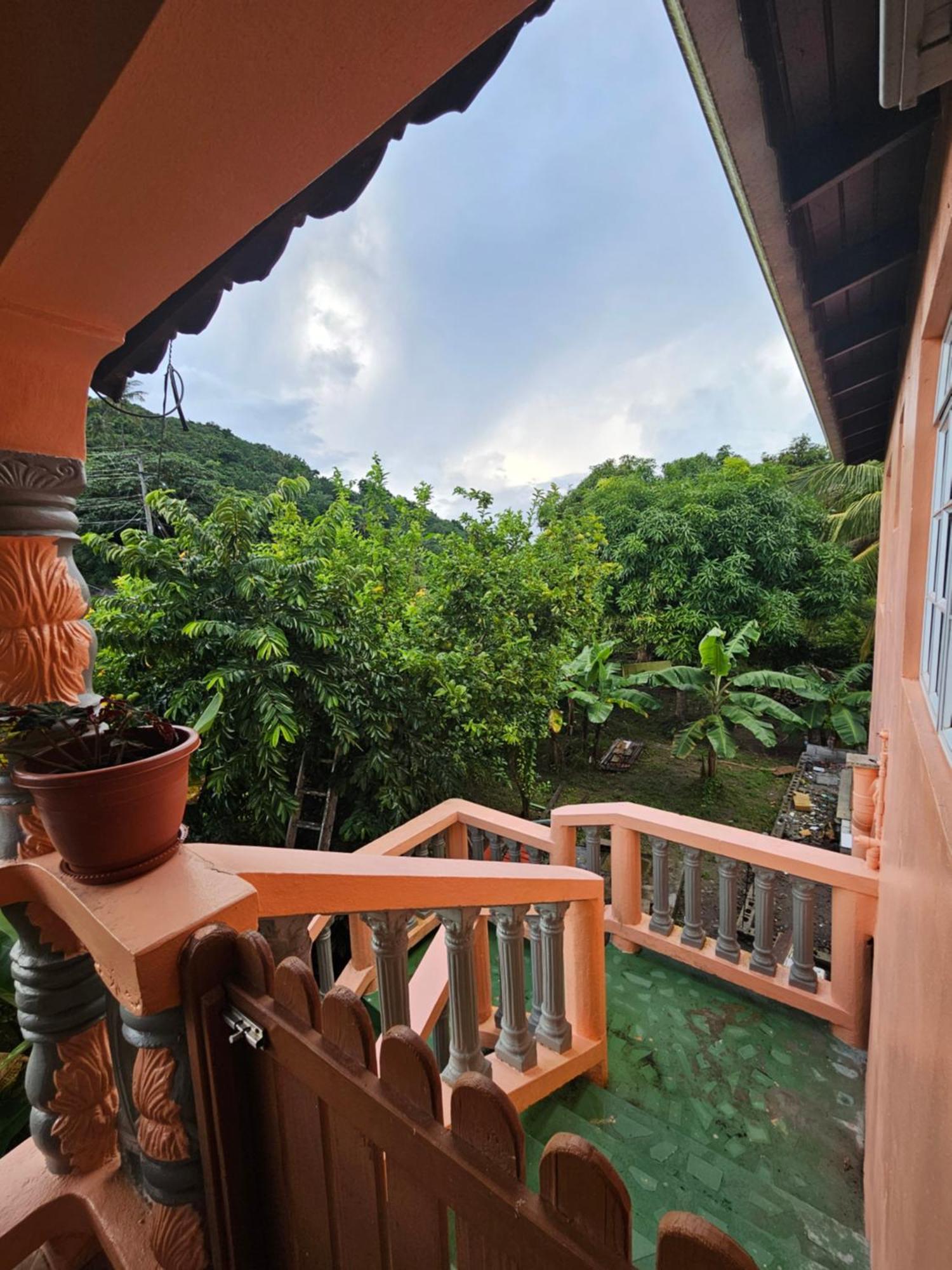 The Jungle Escape 02 * Soufriere