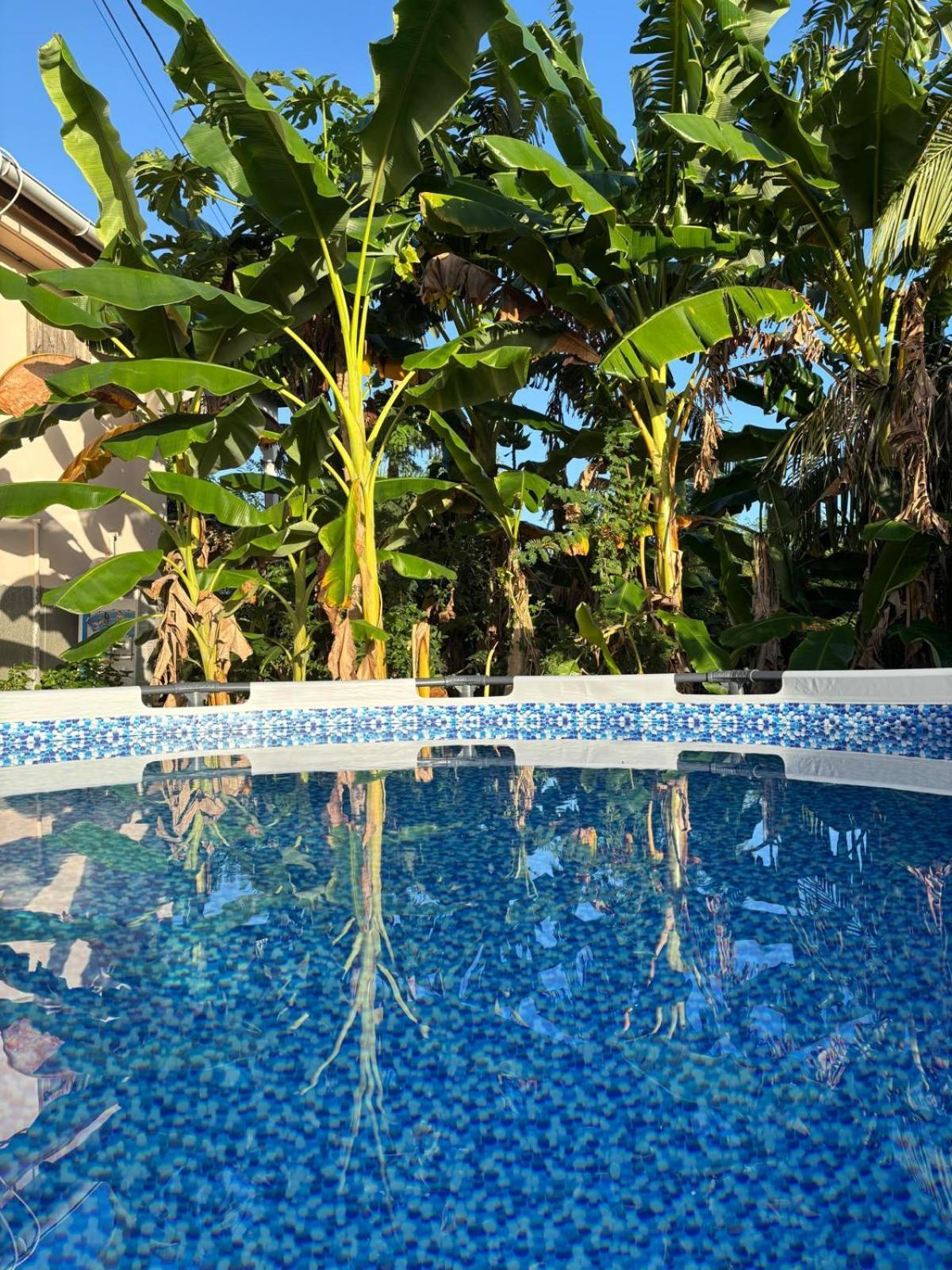 Guest house La Jemeli *