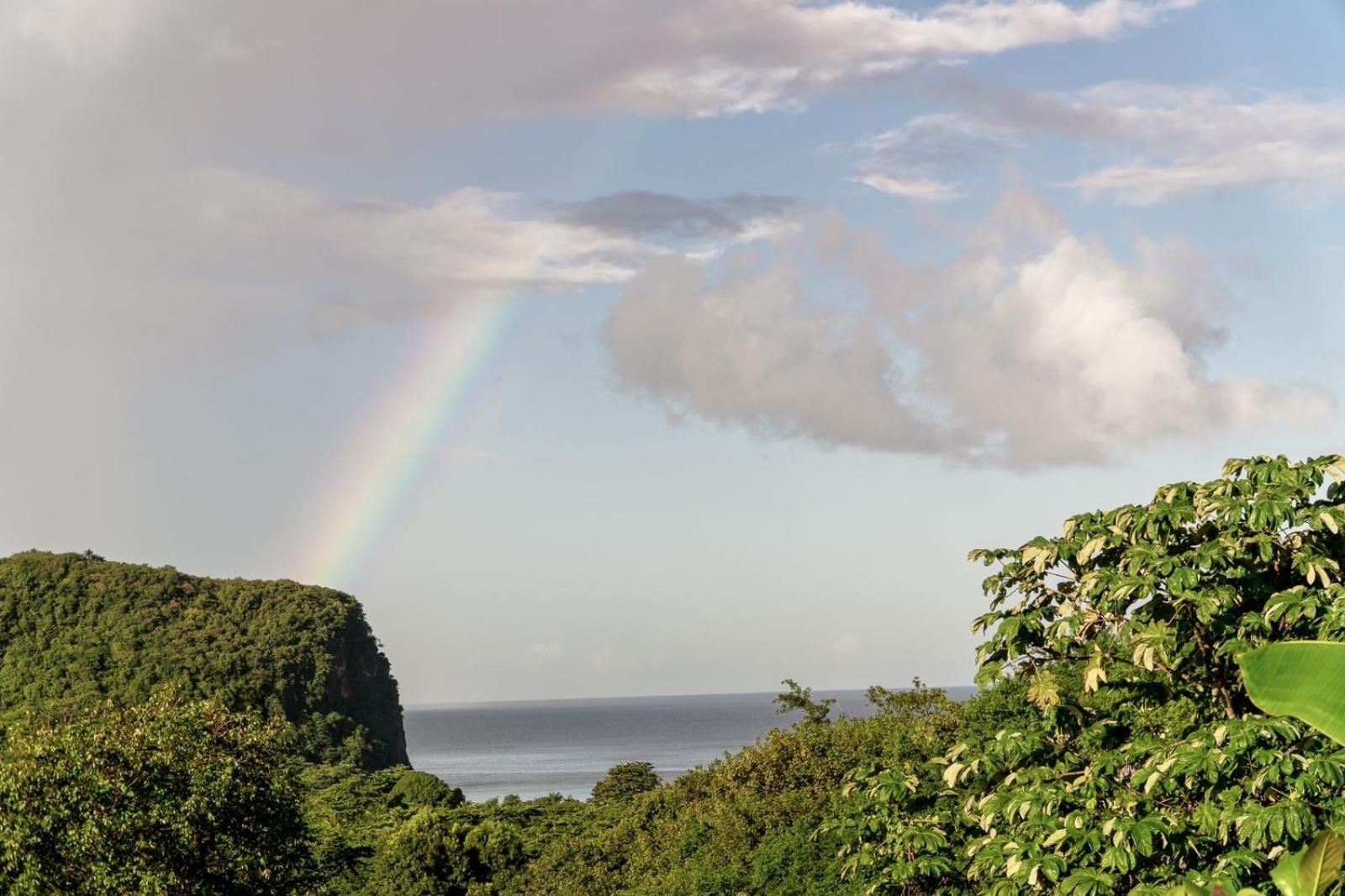 Guest house Tranquil Vistas Of