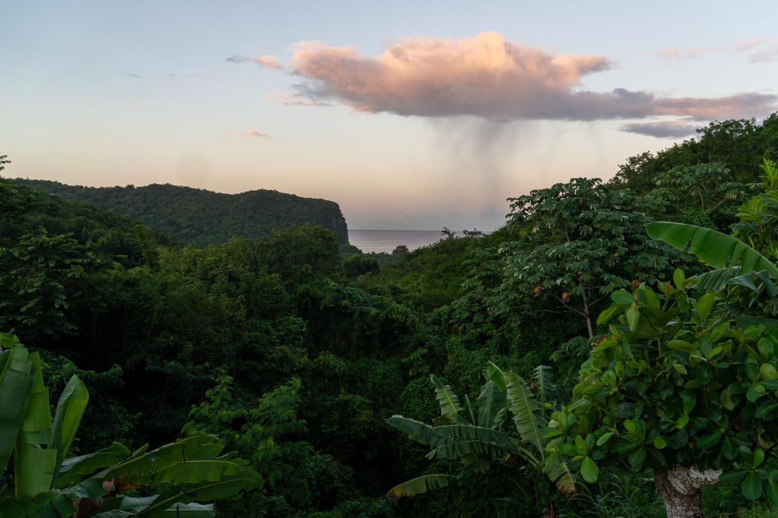 Tranquil Vistas Of Marigot Bay