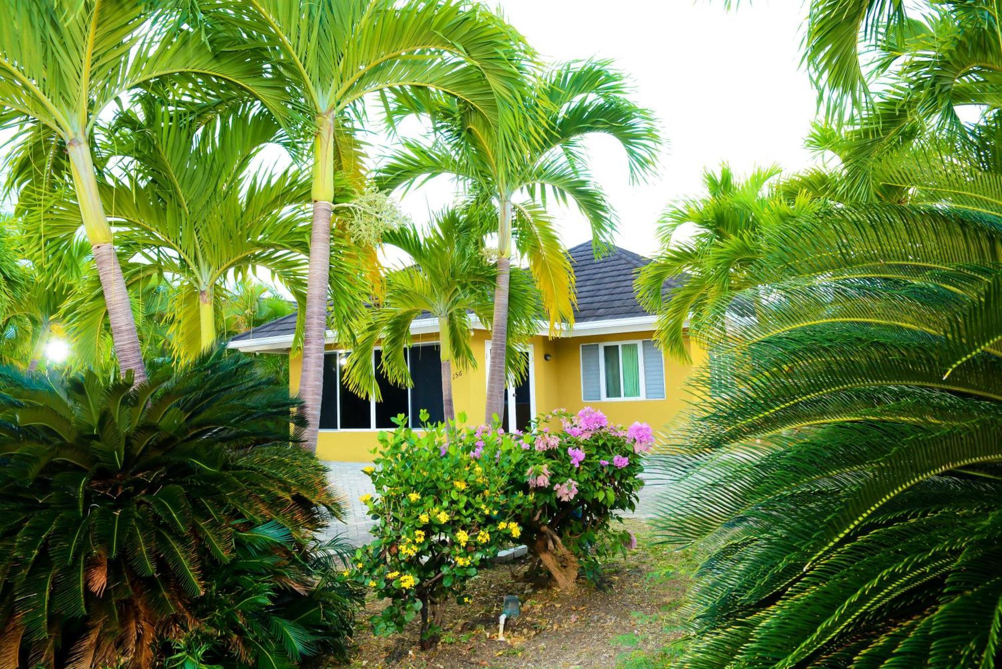 Palms *