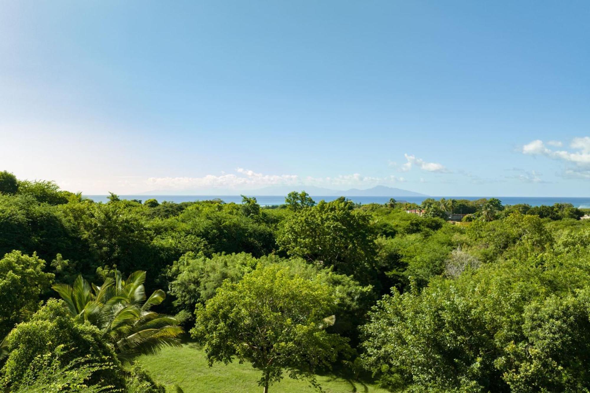 Bwacajou Grand-Bourg (Marie Galante)