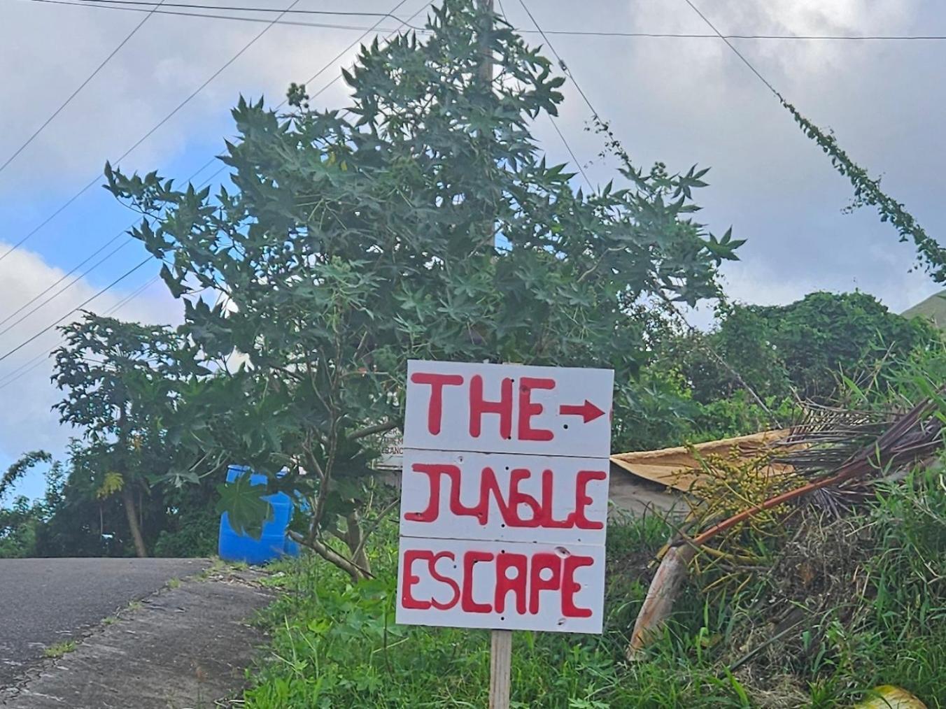 The Jungle Escape 02 *