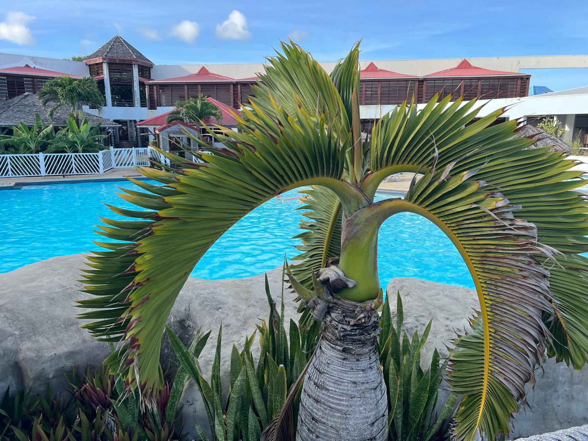 Bord De Avec Piscine - Le Manganao, Saint-francois * Saint-Francois (Grande-Terre)