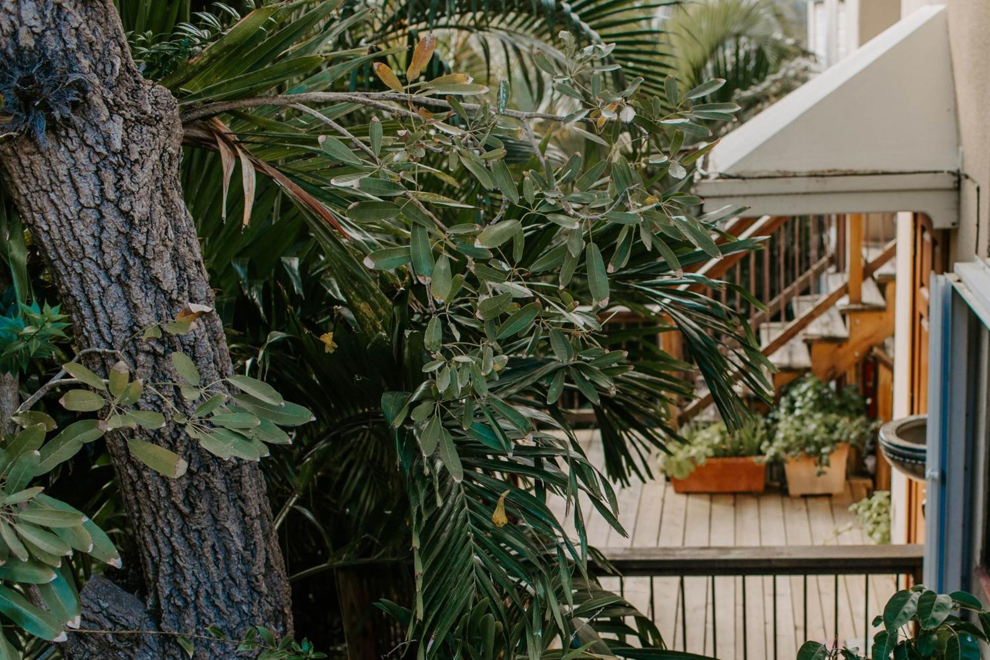 Tropical Aparthotel