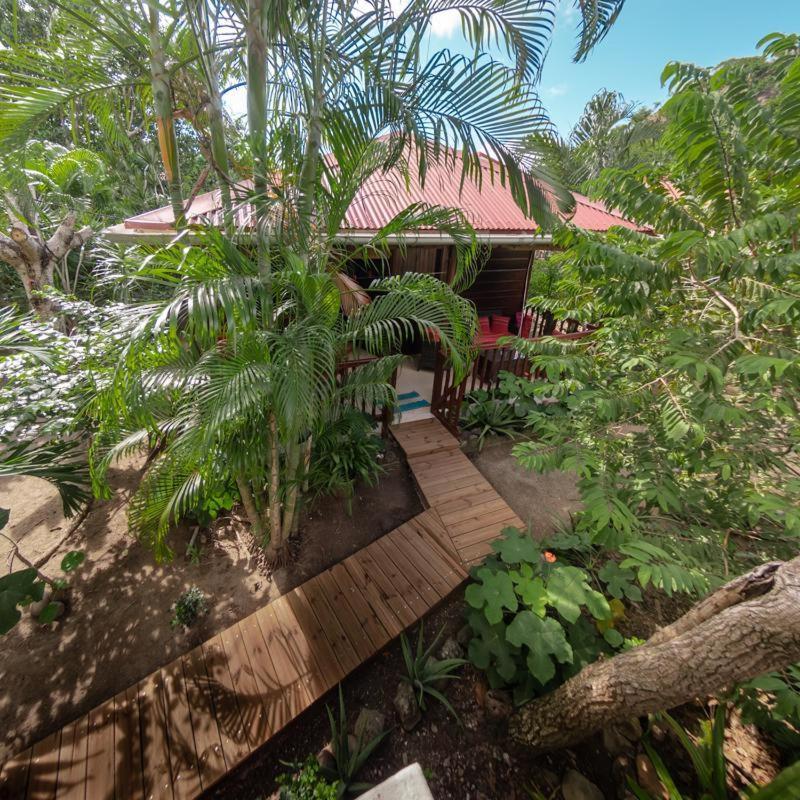 Dans Un Jardin * Terre-De-Haut