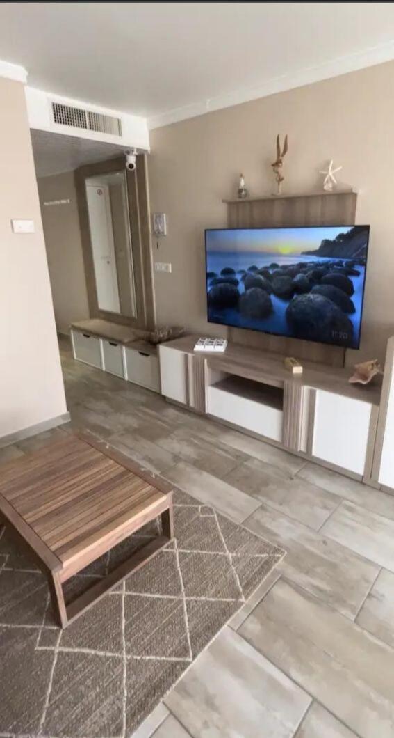 Colibi Exotic 971 Courcelles
