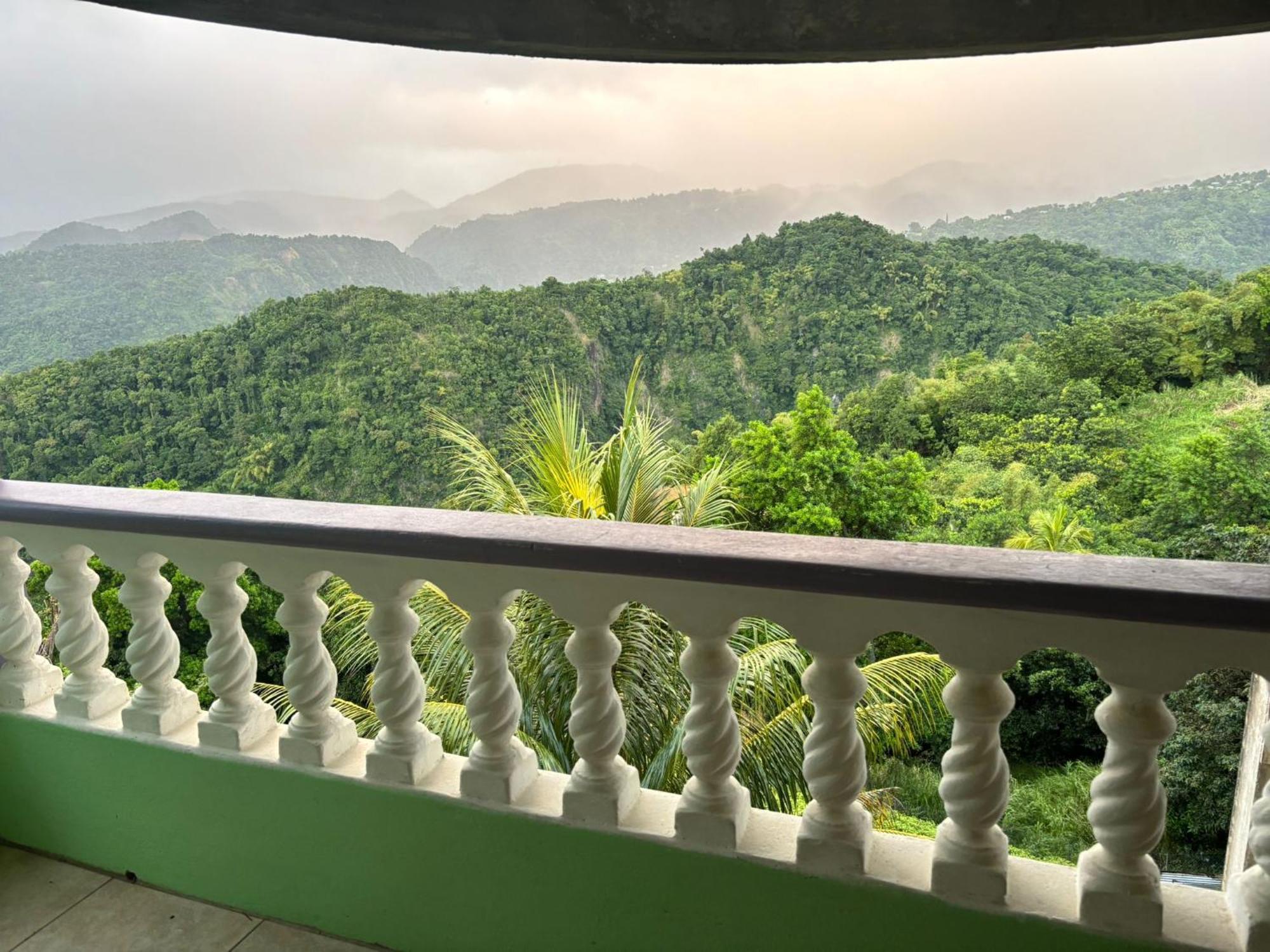 Matthew's Miracle View