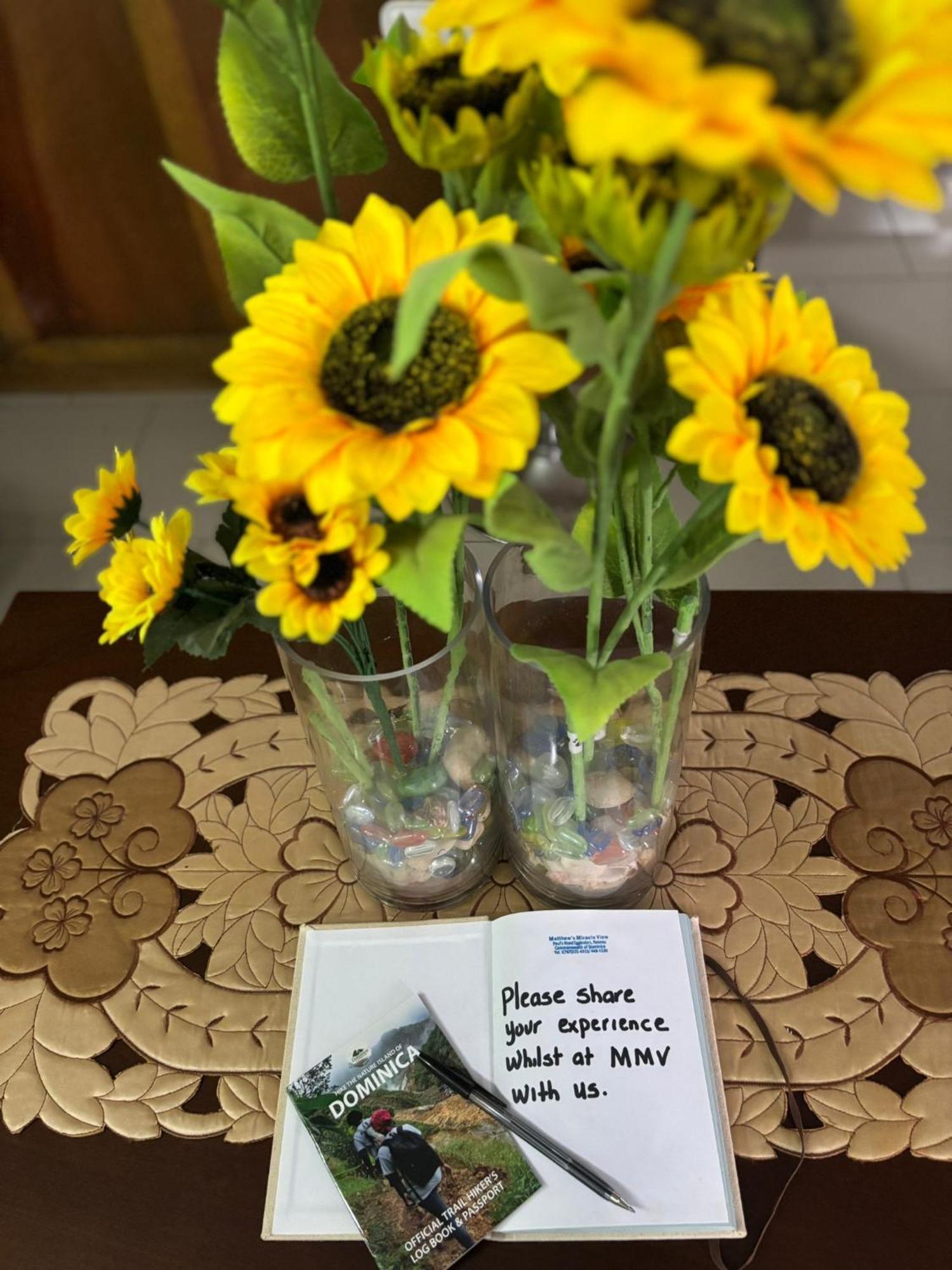 Matthew's Miracle View Bed & Breakfast Roseau