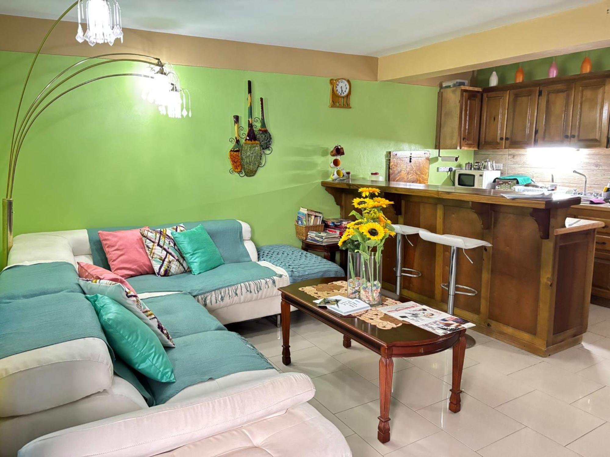 Matthew's Miracle View Roseau