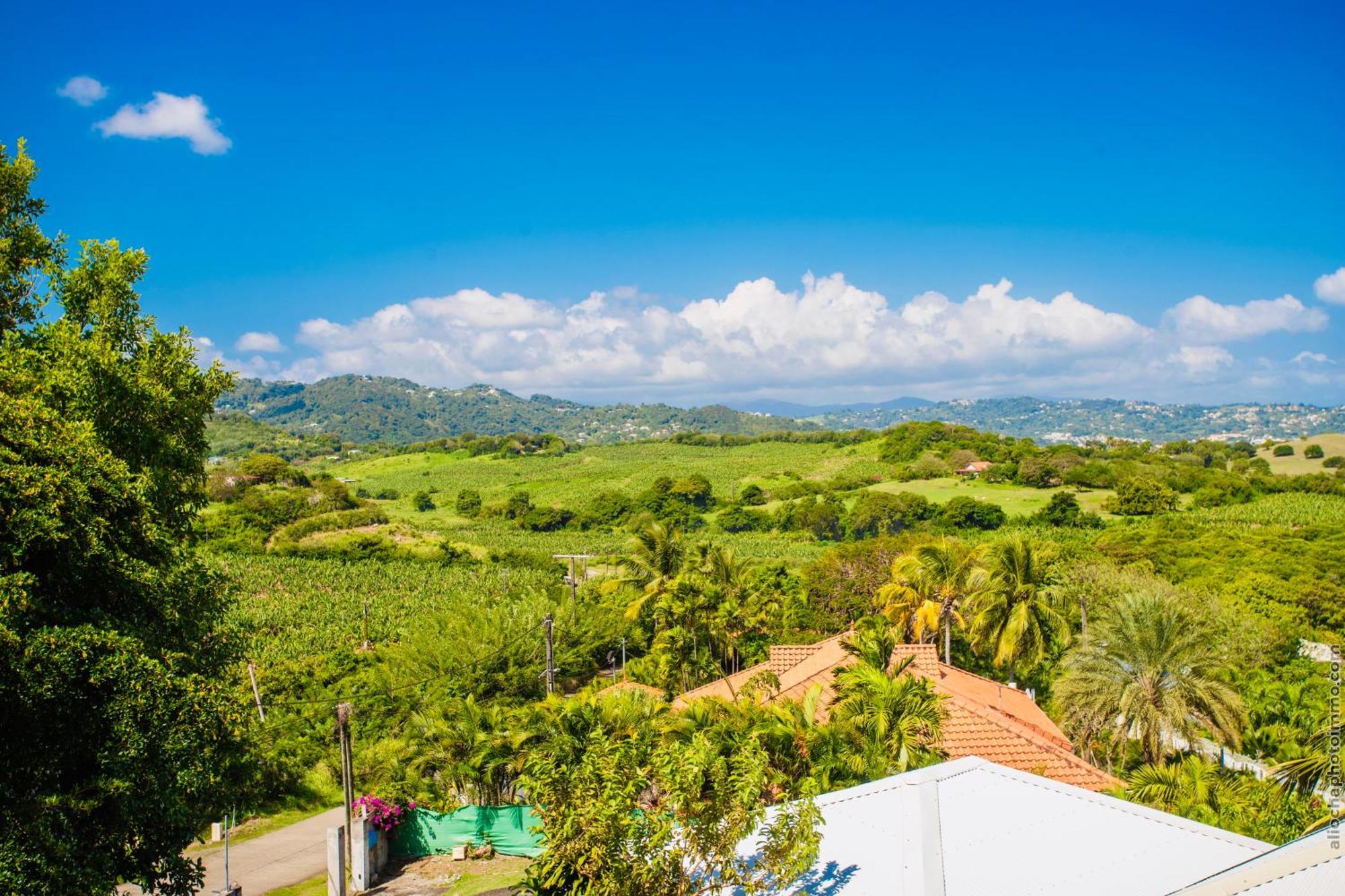 Tropic Hirondelle - Piscine Vue Holiday home