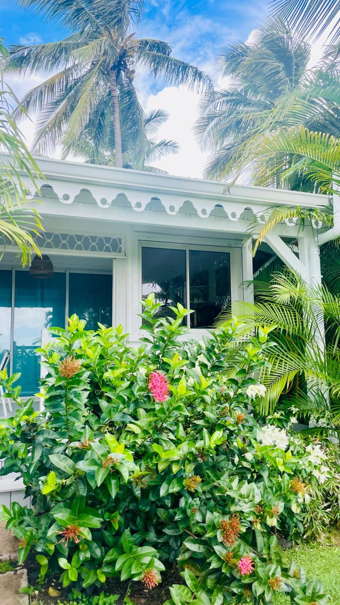 Cocody Sainte-Anne (Grande-Terre)