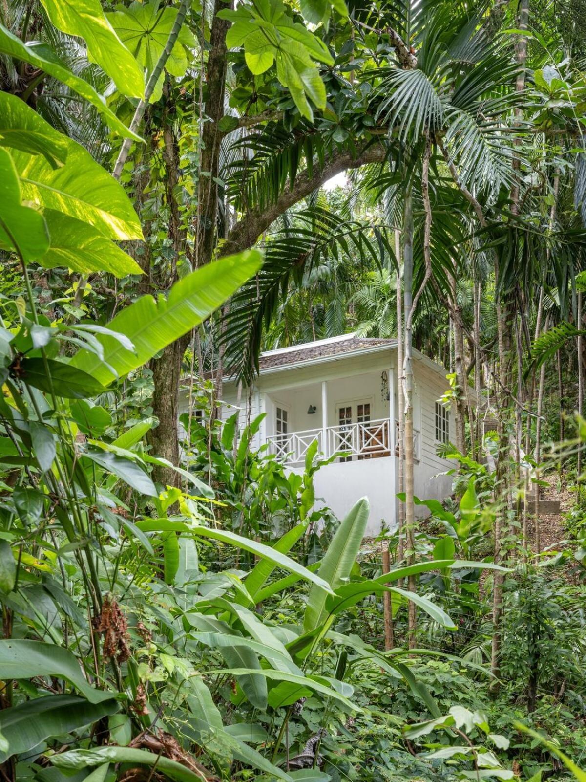 Jamille - Stunningly Designed With Pool, Sauna, & Ocean Views Pousada Port Antonio