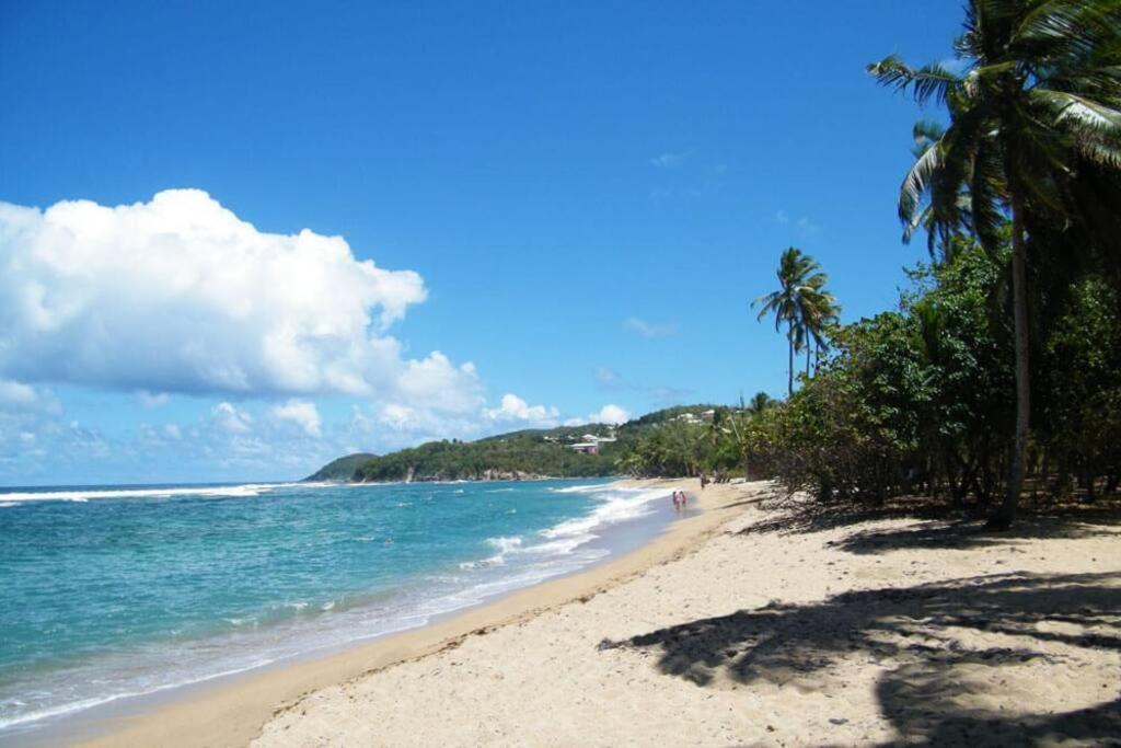 Le Grand Bleu - De La Baie - Tartane Apartamento *