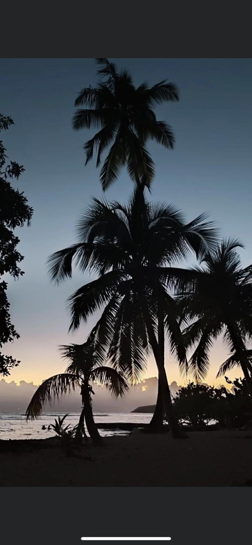 Apartment Au Petit Noni Le Gosier (Grande-Terre)