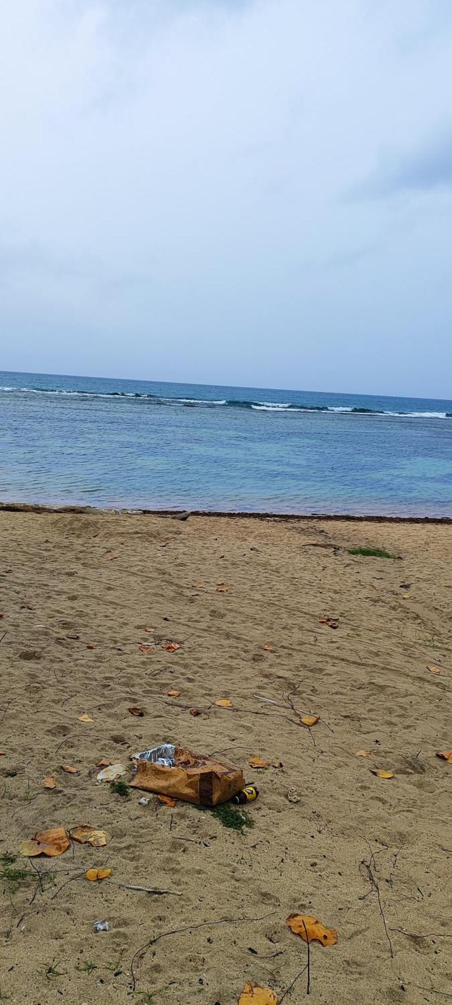 Apartment Vista Al Mar Live *