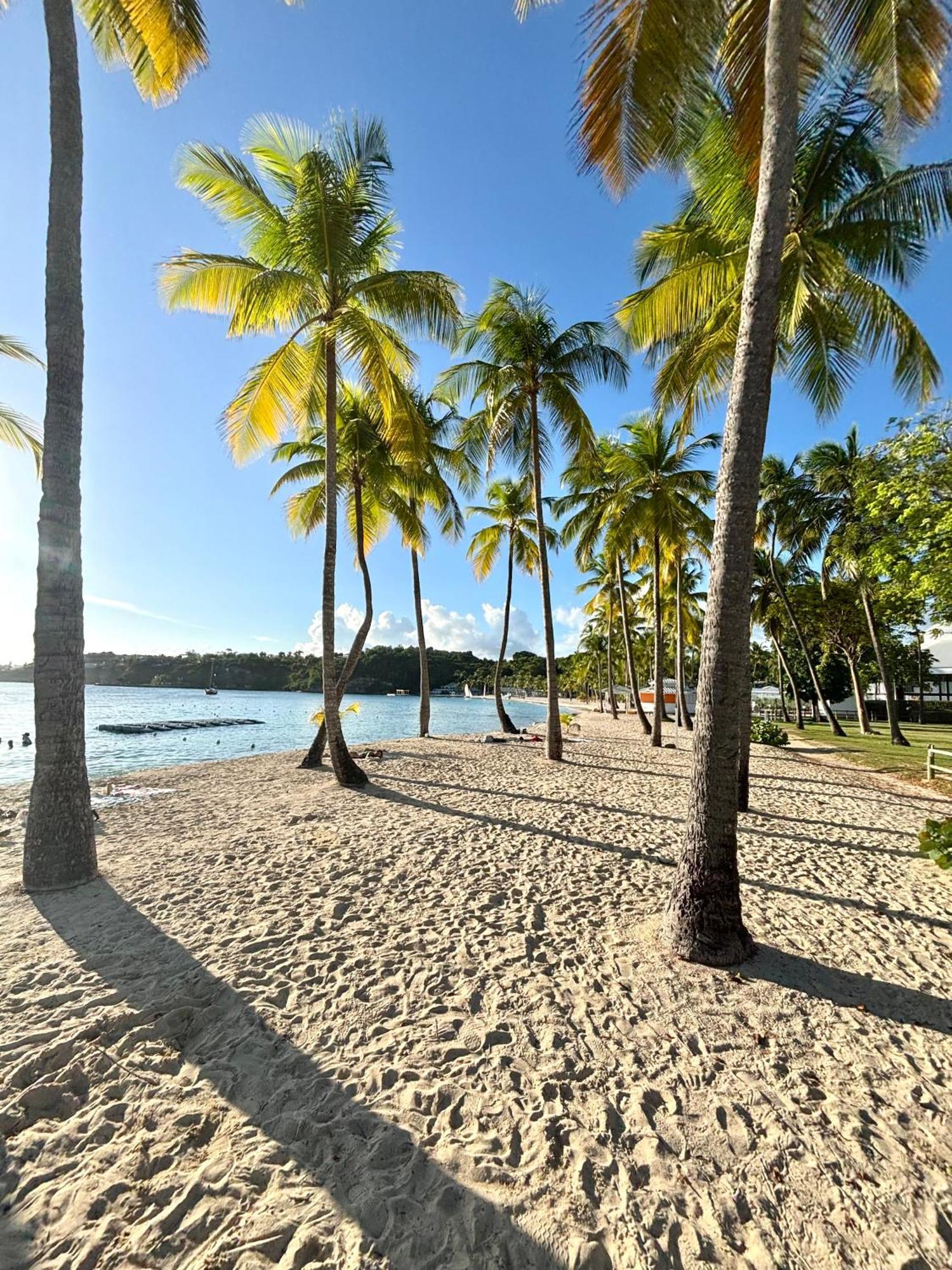 Le Rotabas 2* Sainte-Anne (Grande-Terre)