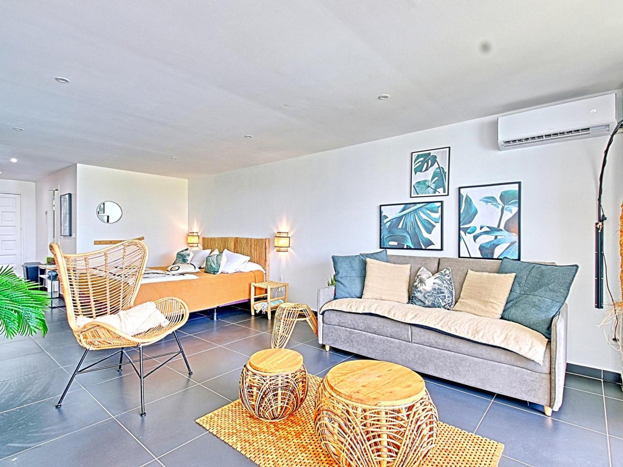 Apartment Avec Terrasse, Clim Et Piscine A Saint-martin - Fr-1-734-55
