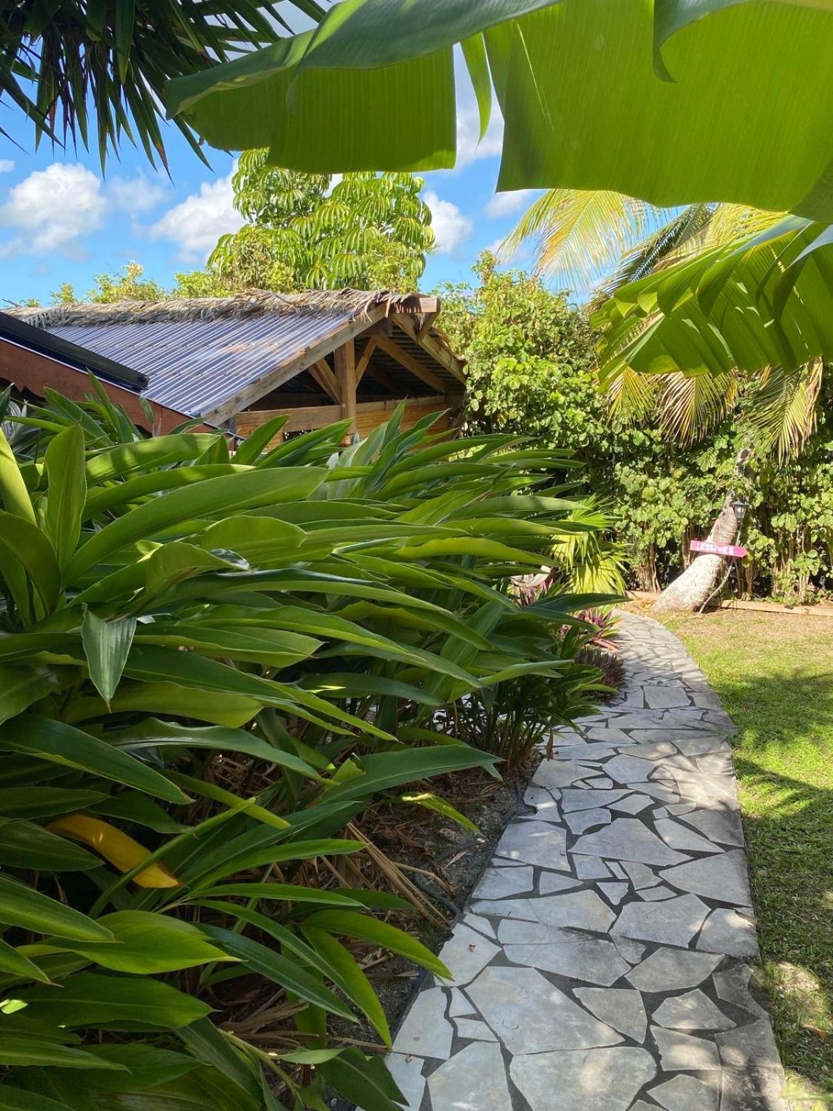 Casa de férias Ti Bwa Carbet Cosy Semi-exterieur Avec Toit Terrasse *