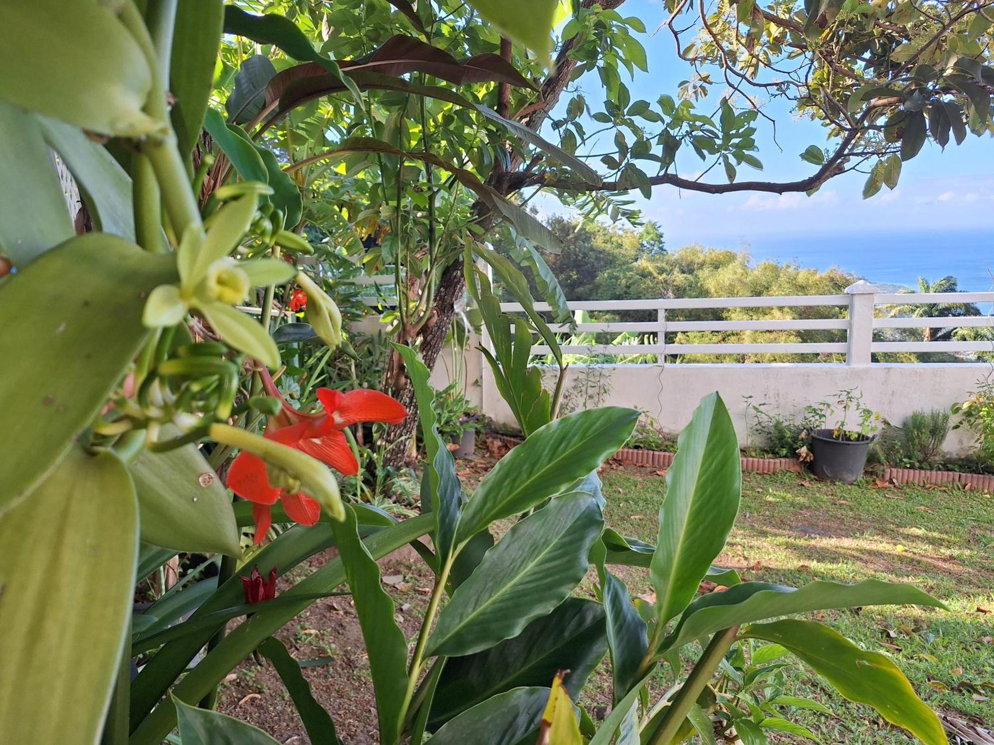 Belavue & Prive, Avec Vue Panoramique Sur Mer, Jardin Creole Paysager, Jacuzzi Prive Holiday home Bouillante