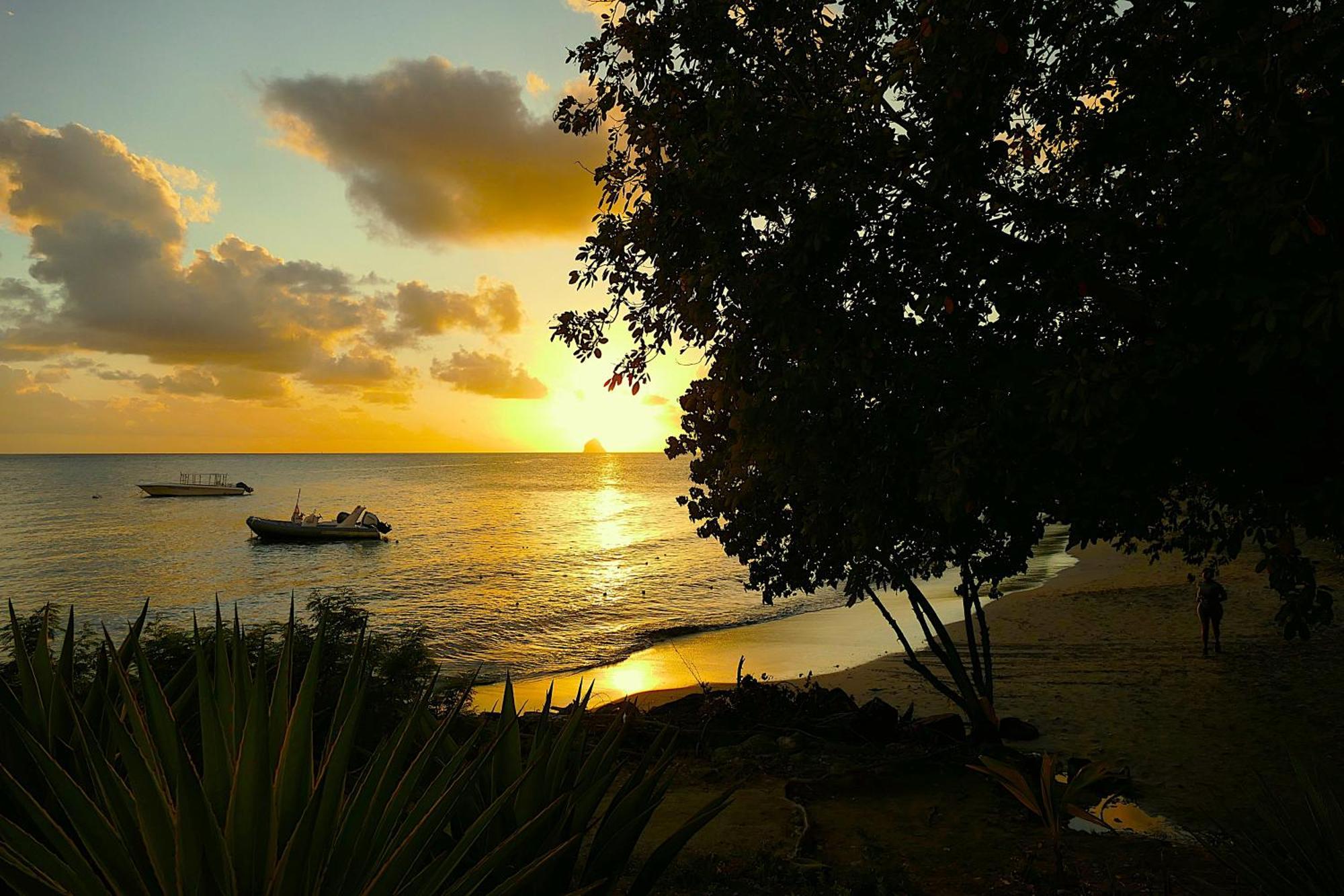 Apartment Pierre & Tobago 24