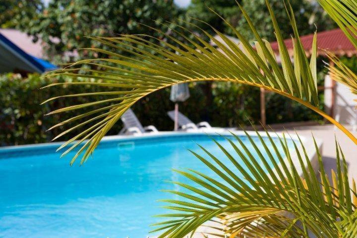 Le Rotabas 2* Sainte-Anne (Grande-Terre)