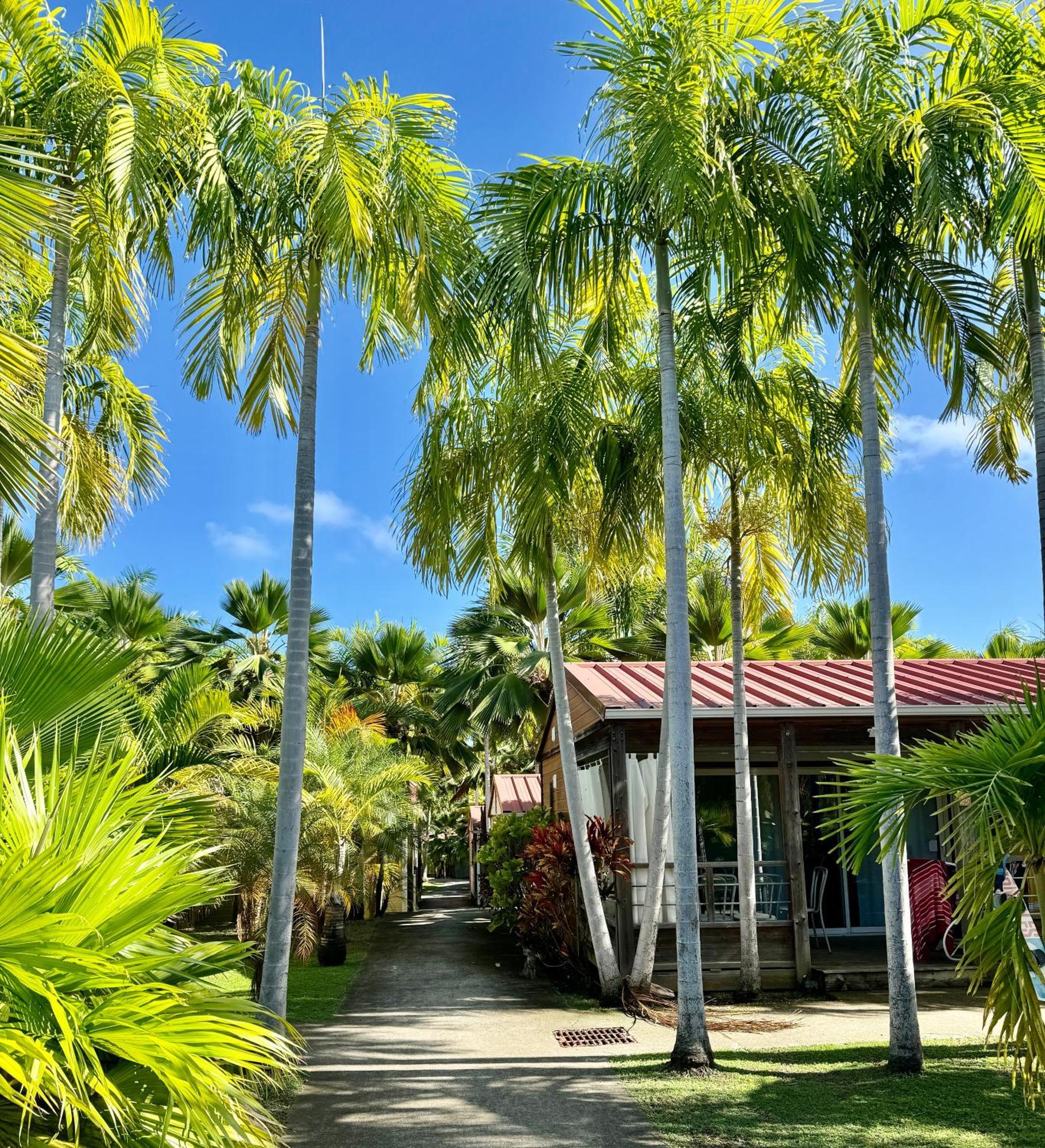 Le Village De La Pointe 3*