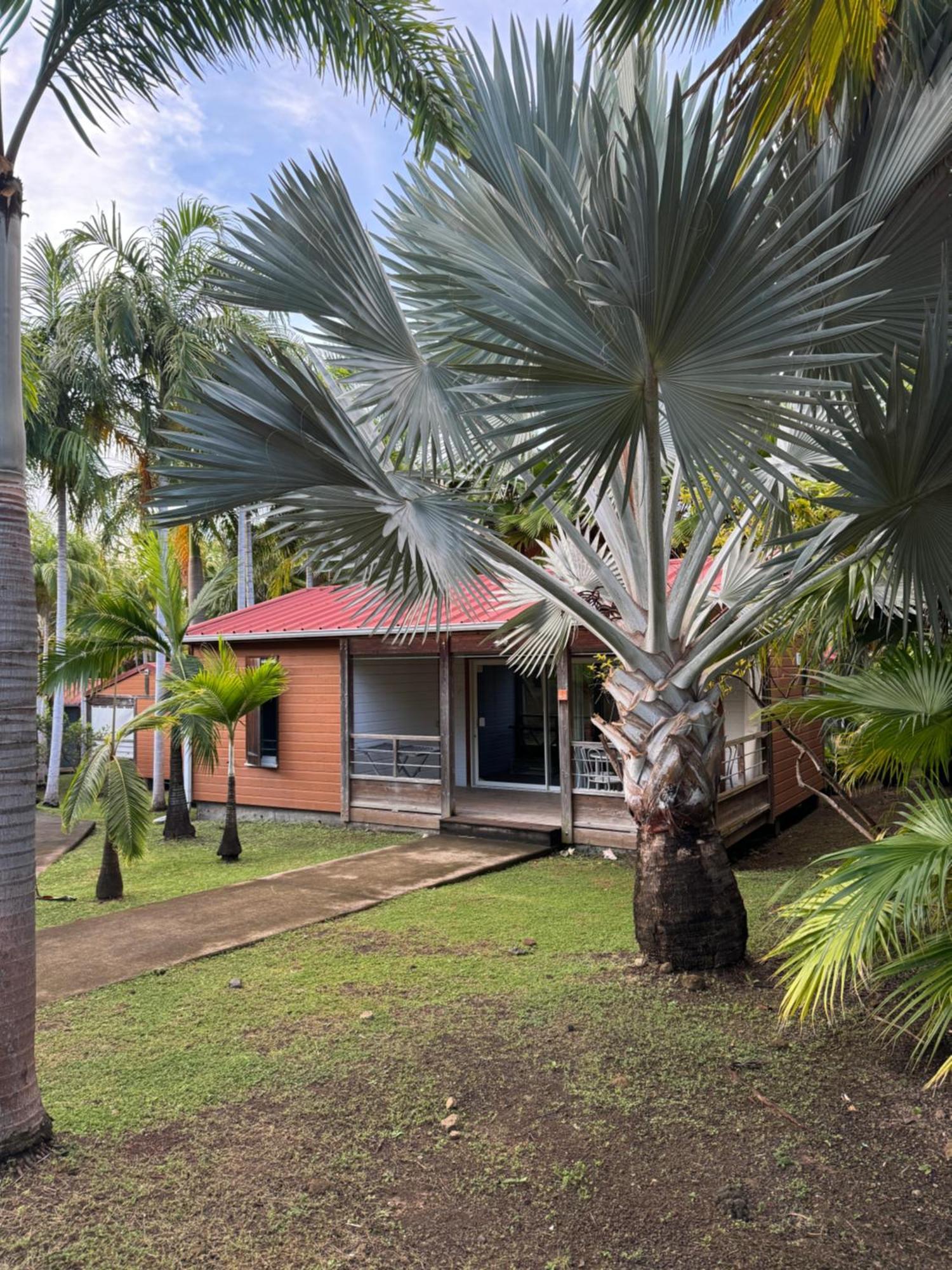 Campo de férias Le Village De La Pointe