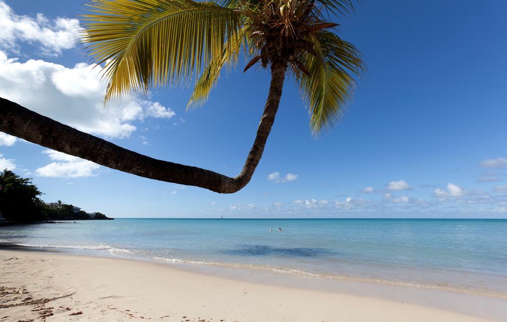 Resort The Cove At Blue Waters St. John's