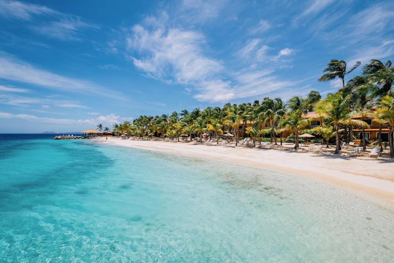 Harbour Village Club 4* Kralendijk (Bonaire)