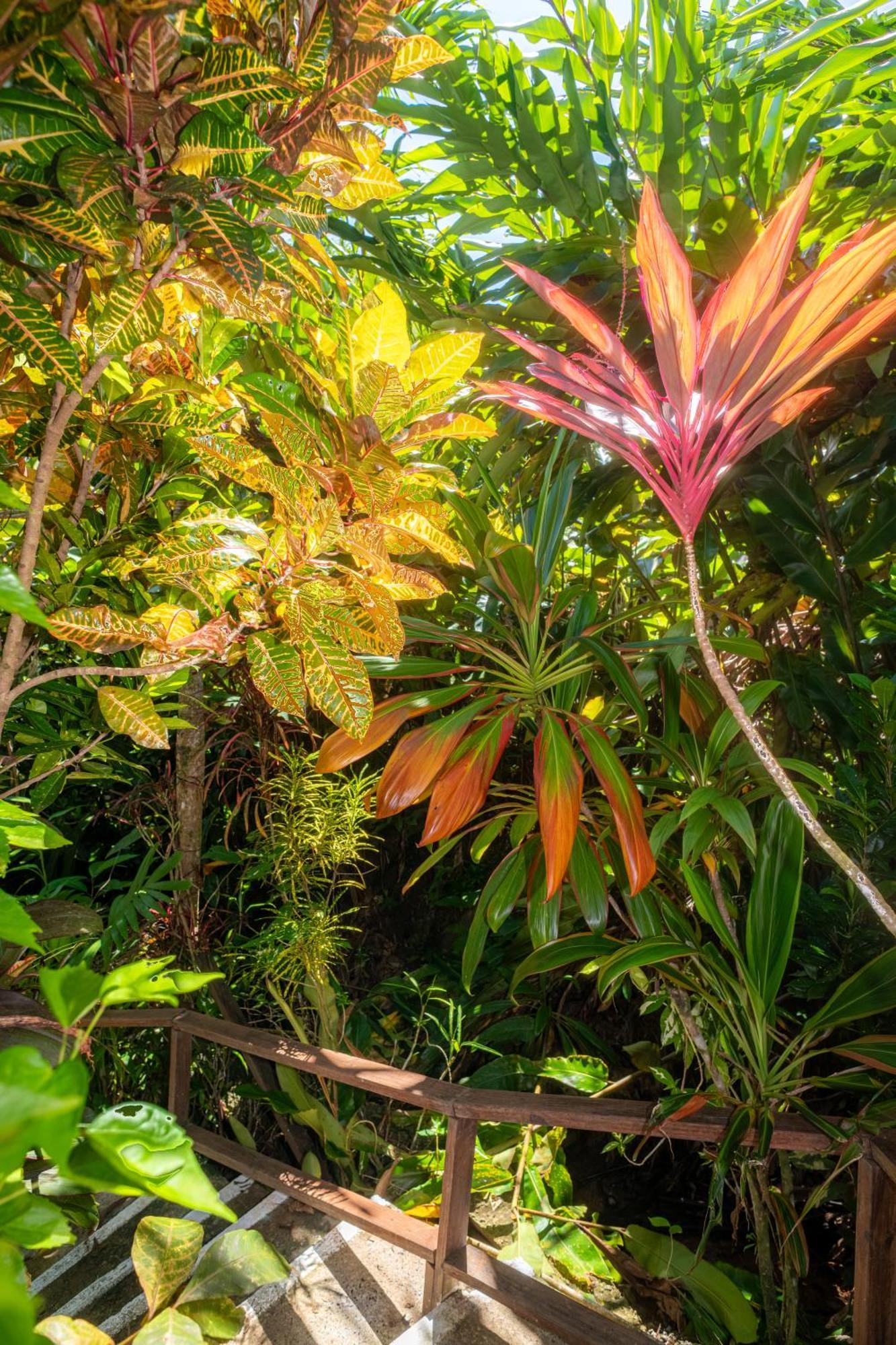 Hibiscus Valley Inn 3*