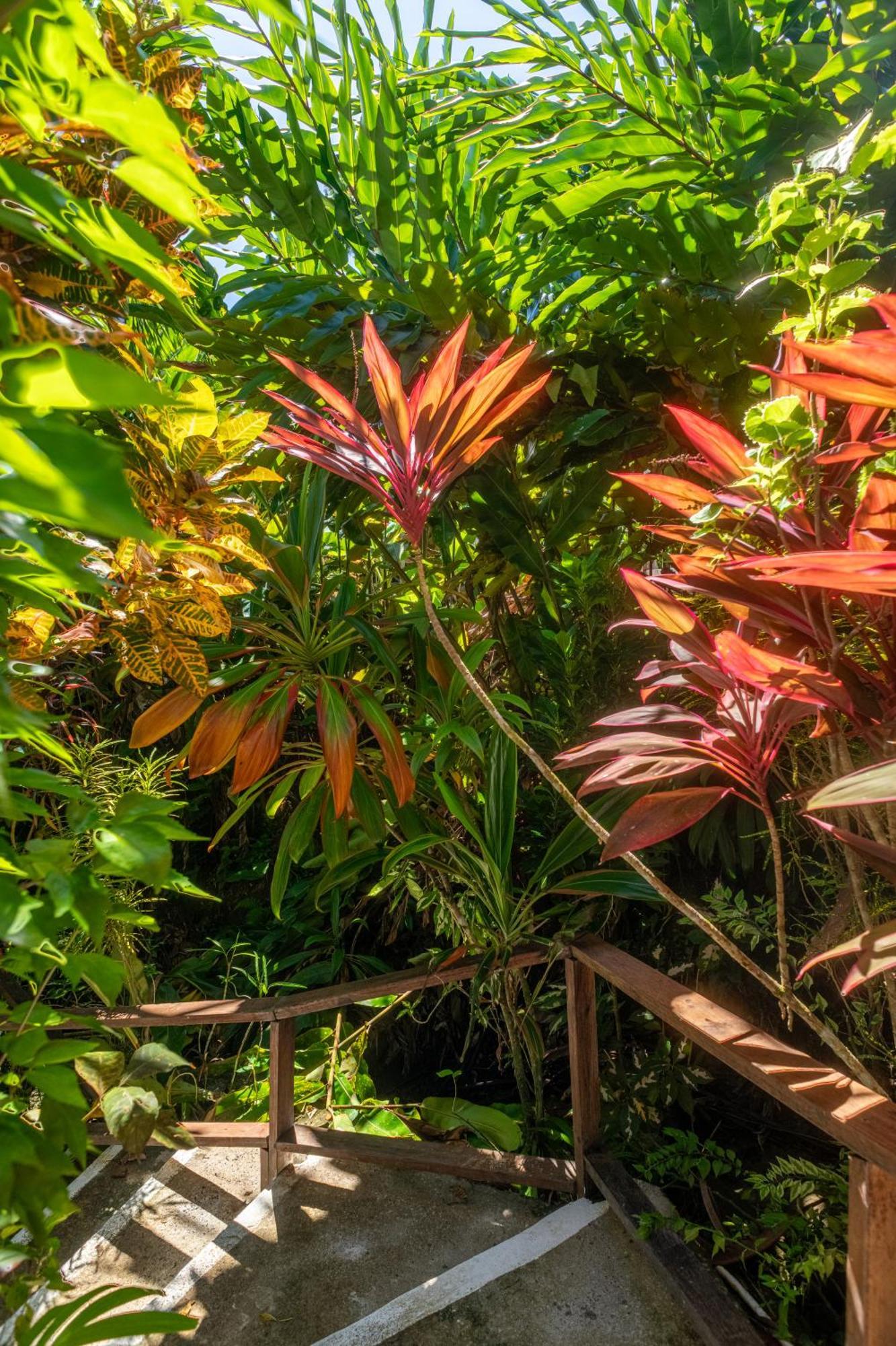 Hibiscus Valley 3* Marigot