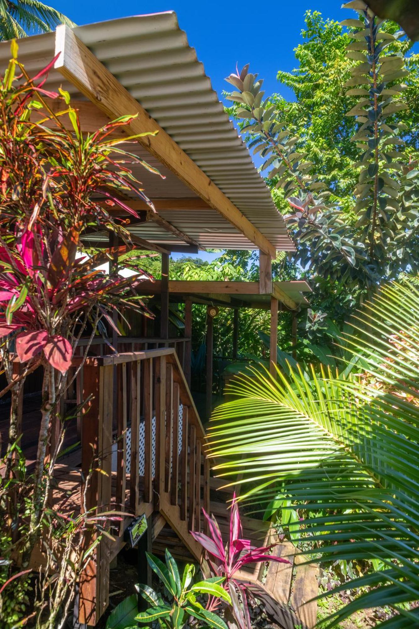Hibiscus Valley Inn Marigot