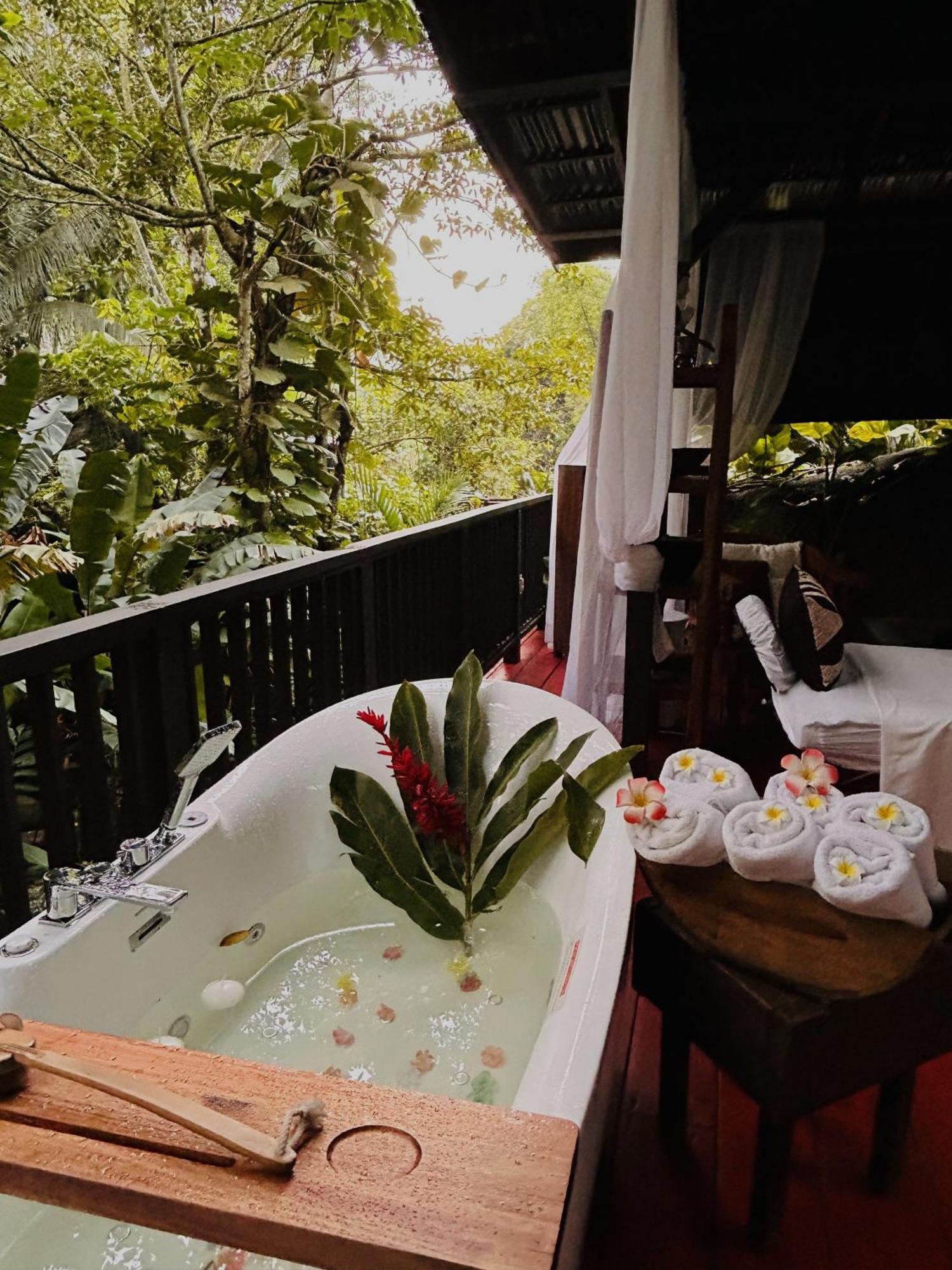 Hotel Serendipity Holistic Kingston