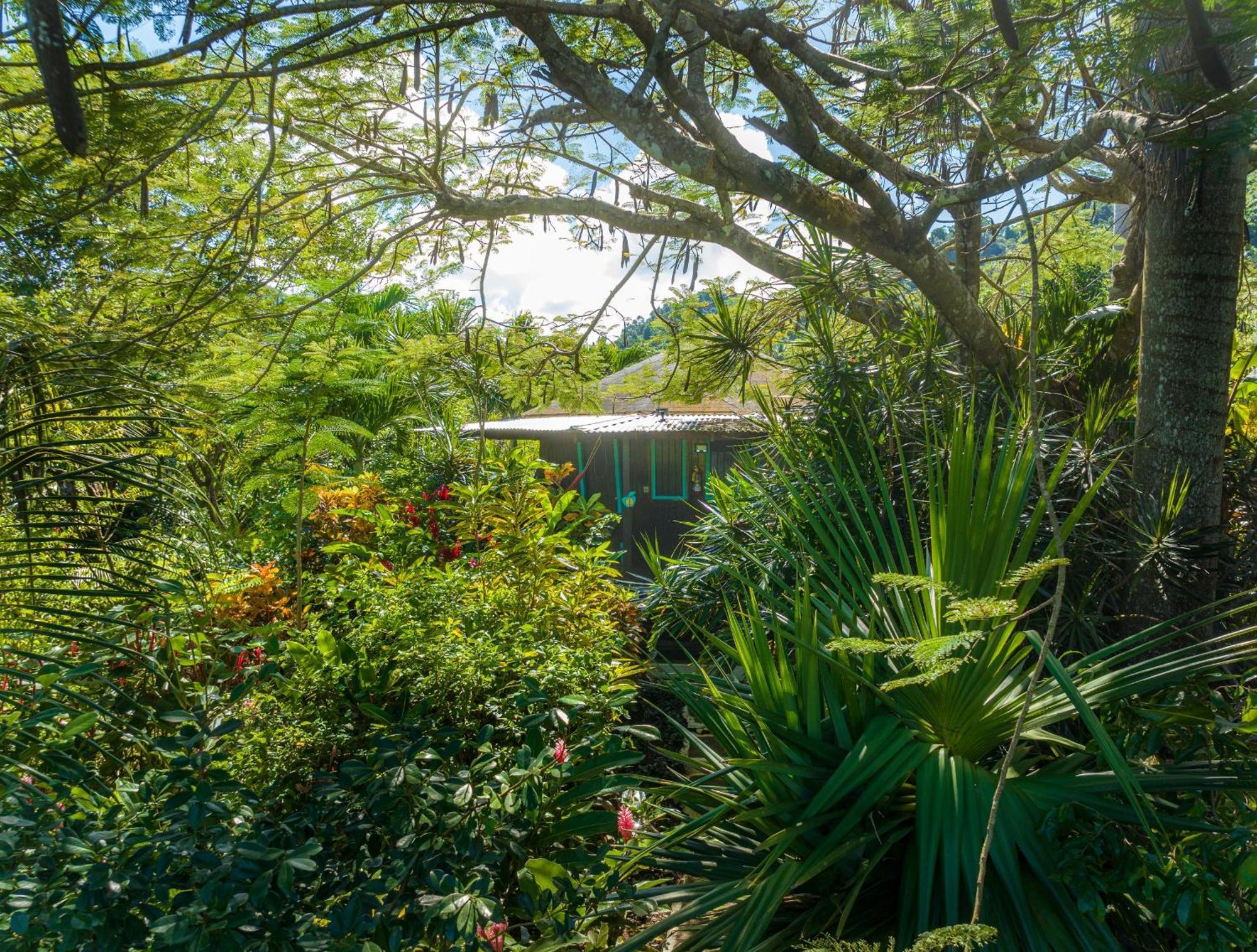 Inn Hibiscus Valley