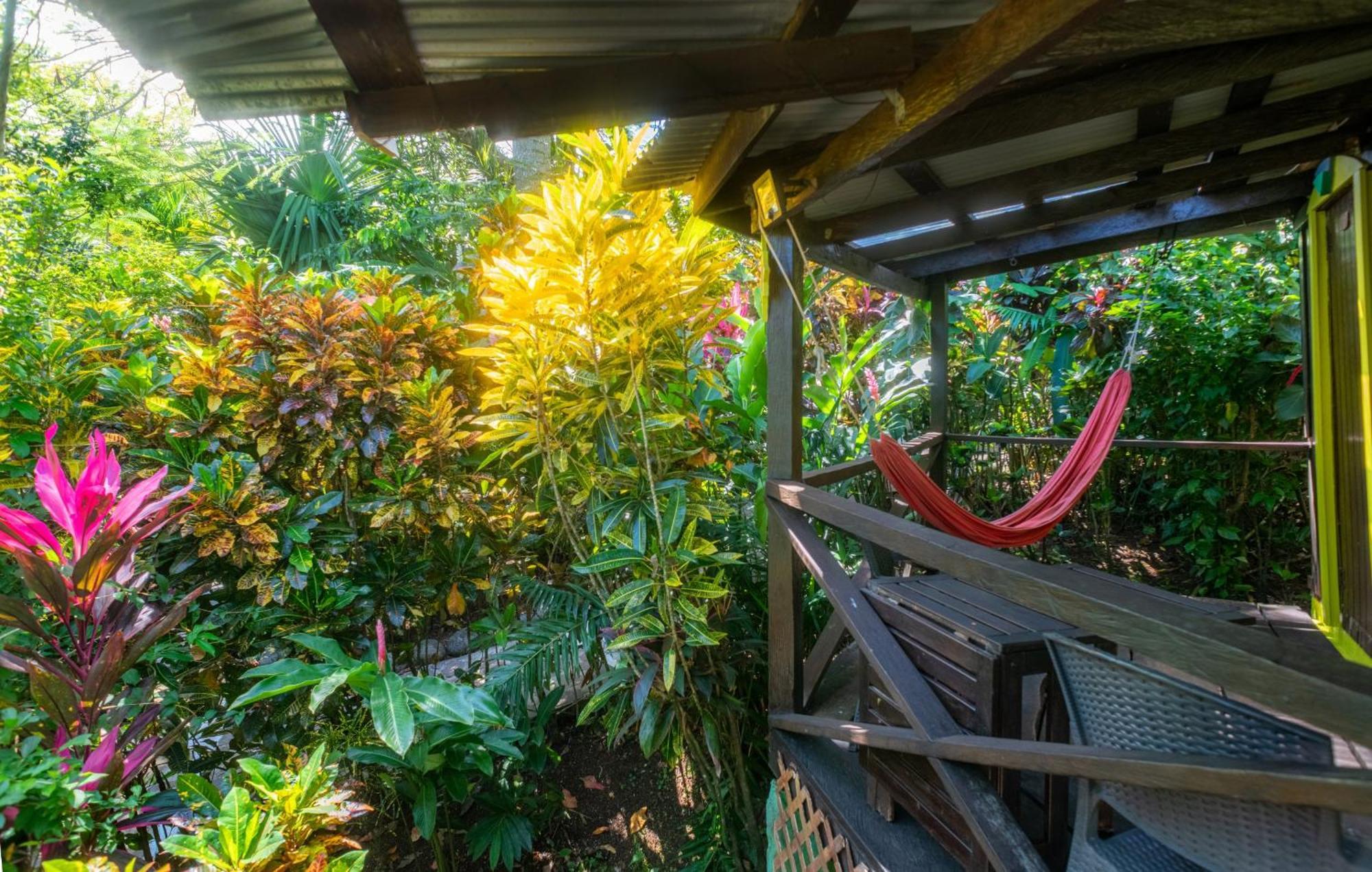 Hibiscus Valley Inn Marigot